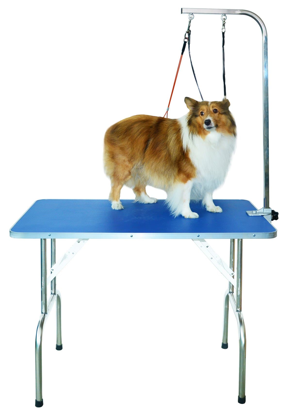 32-in Dog Grooming Table