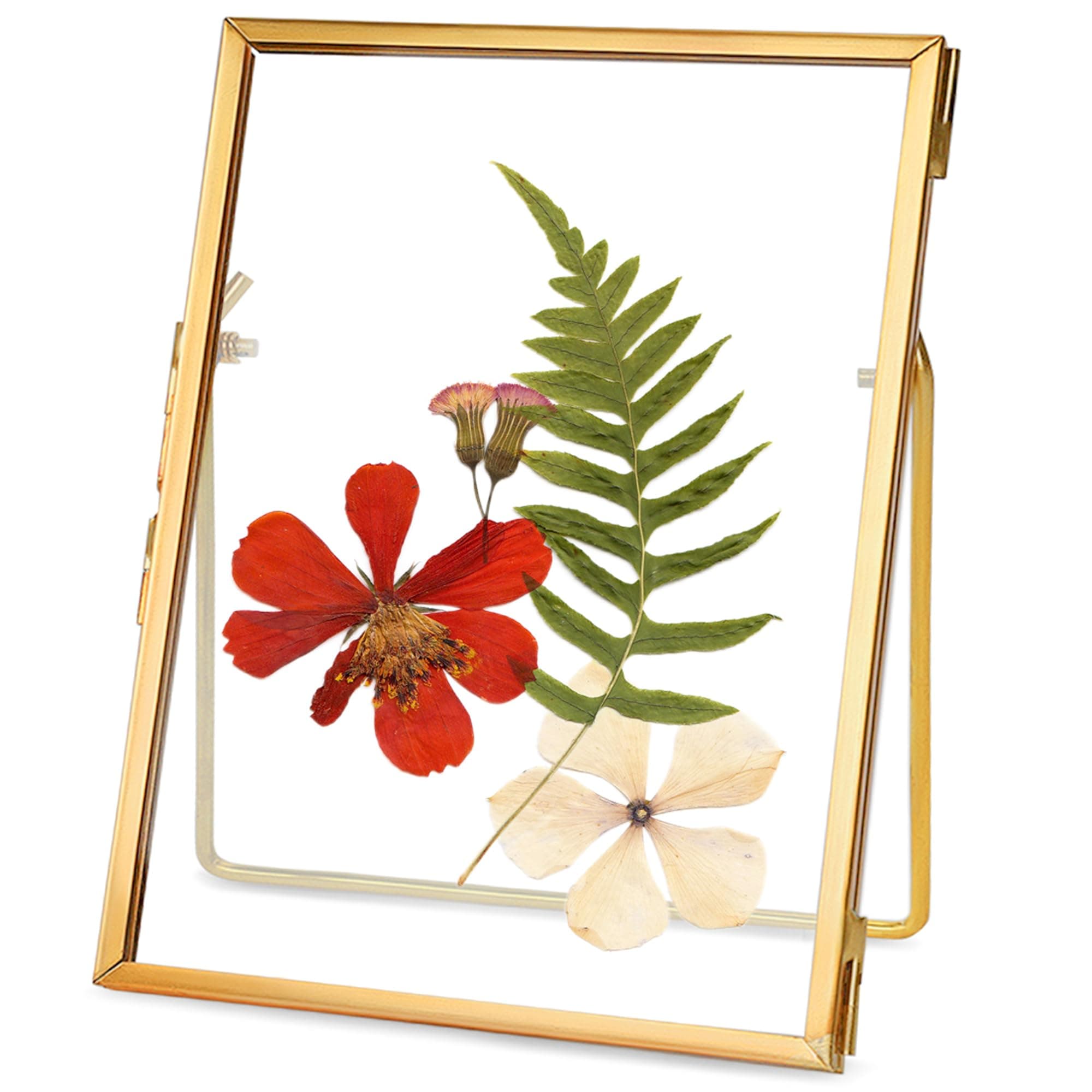 REDHUGO Glass Pressed Flower Frame Handmade, Floating Picture Frames for Pressed Flowers, Tabletop Artwork Photo Frames, Brass Desk Picture Frame for Home Office Plant Specimen