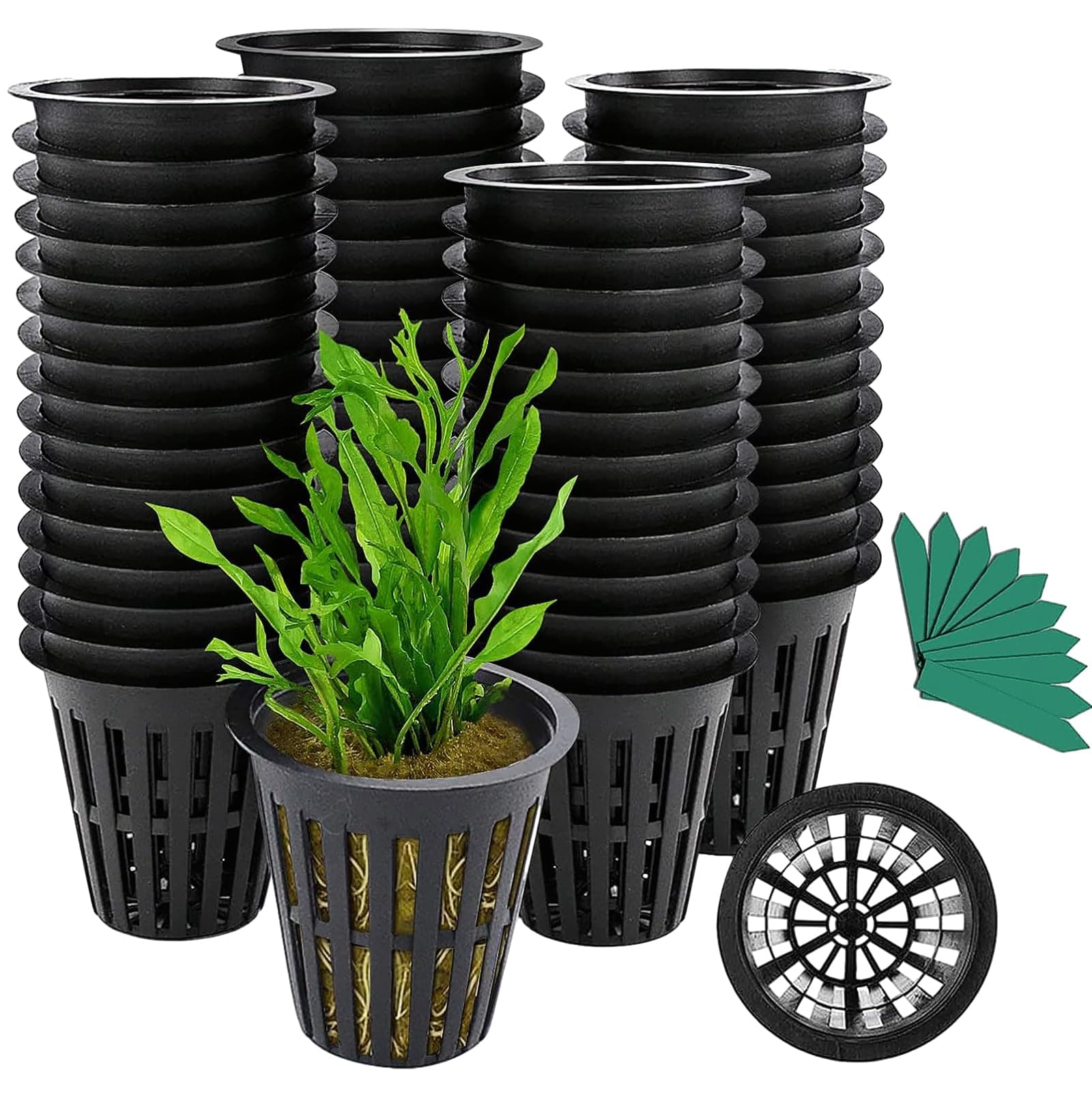 Net Cups 2" 100-Pack