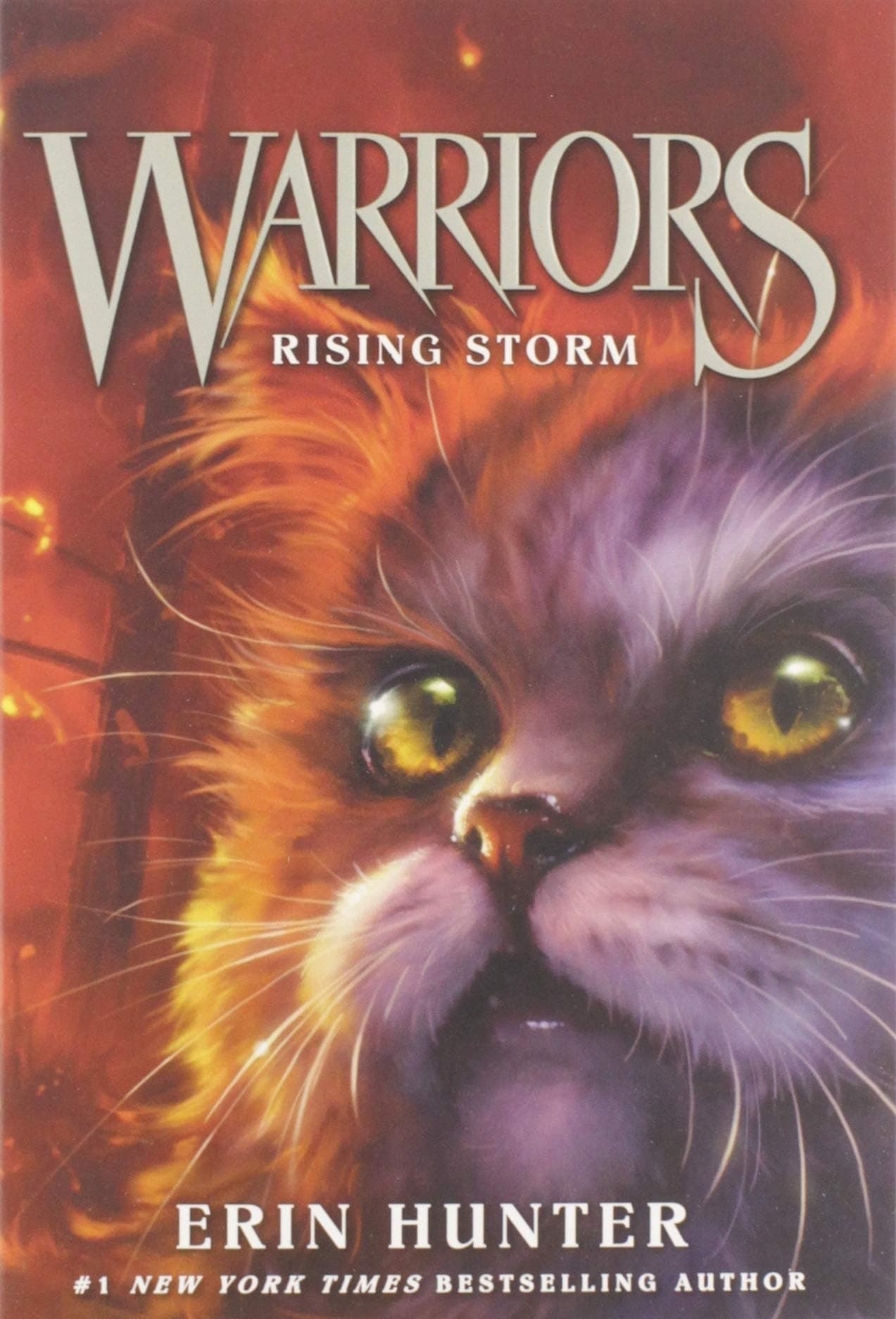 HarperCollins Warriors #4: Rising Storm