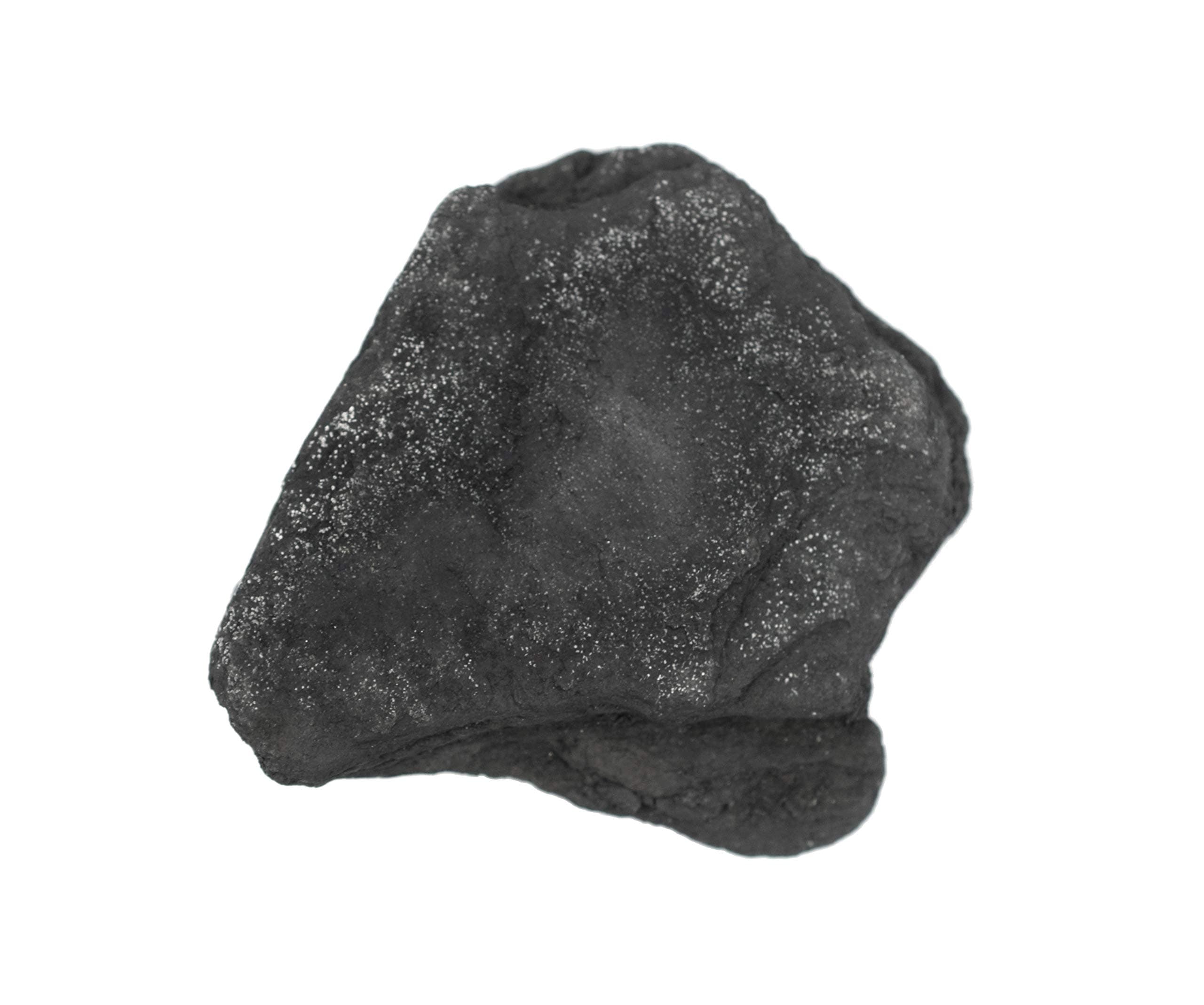 EISCO Raw Anthracite Coal, Metamorphic Rock Specimen - Approx. 1" - Geologist Selected & Hand Processed - Great for Science Classrooms (1)