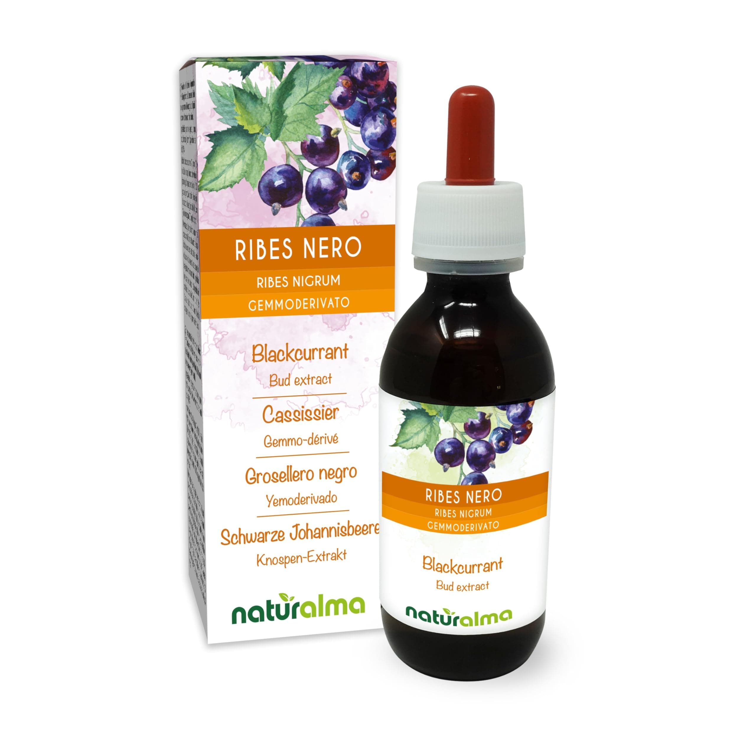 Blackcurrant (Ribes nigrum) Alcohol-Free Bud Extract from Fresh Buds Naturalma - Liquid Drops 120 ml - Food Supplement - Vegan