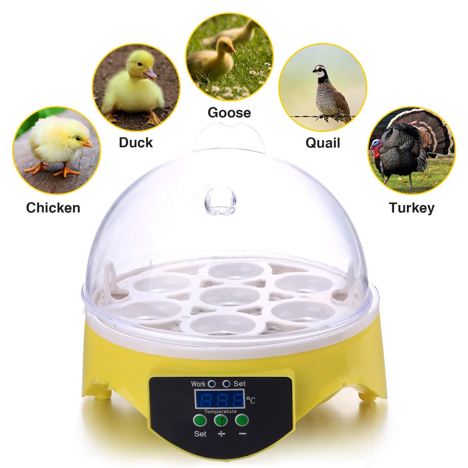 Egg Incubator New Digital Mini Hatching Chicken Quail Turkey Egg Hatcher