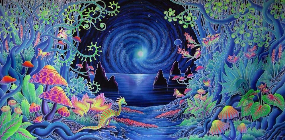 Psychedlic Trippy Art fabric poster 28"x13"