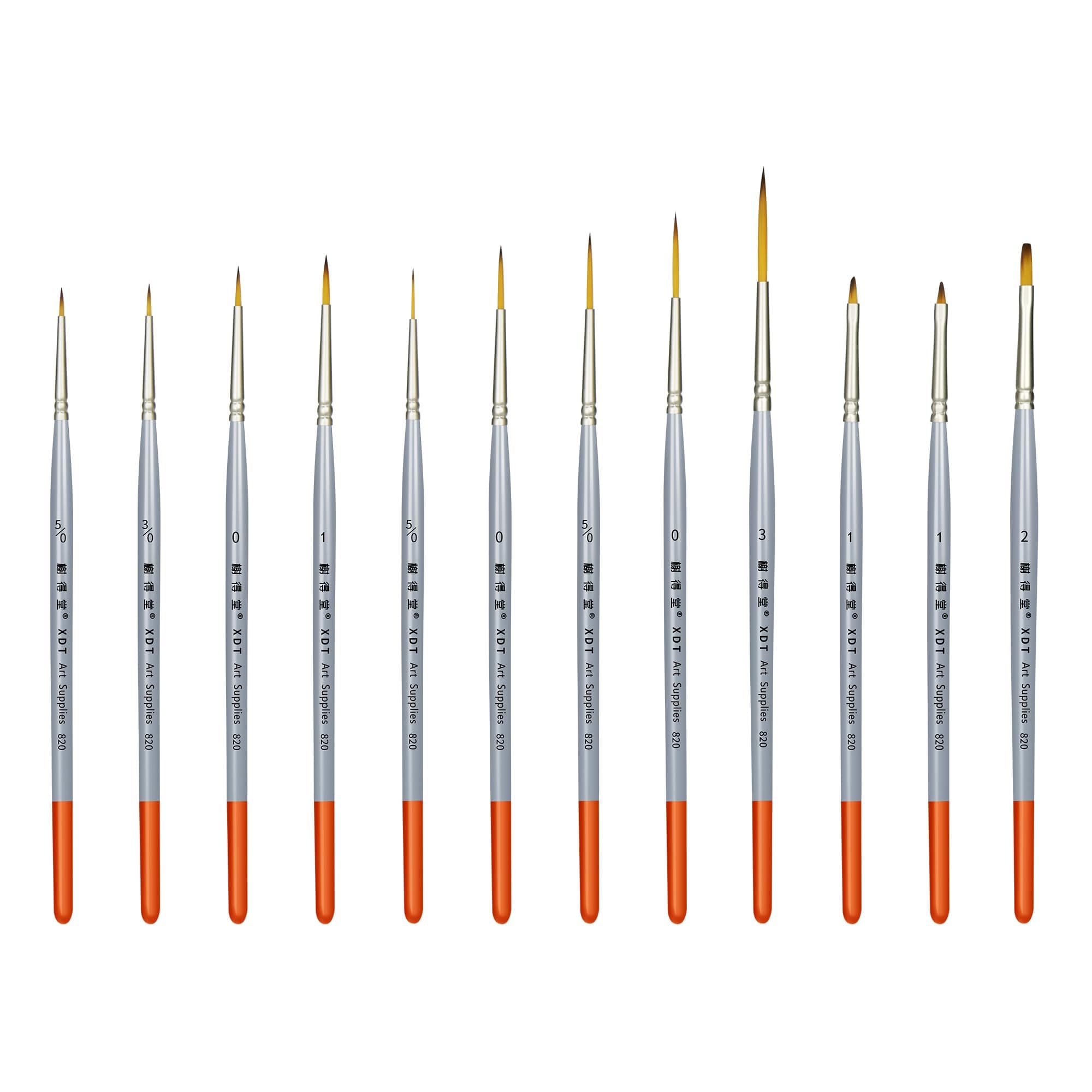 XDT#820 Detail Paint Brush 12 Piece Set for Acrylic Painting, Miniature Paint Brushes for Model Craft and Body Painting, Acrylic Oil Watercolor