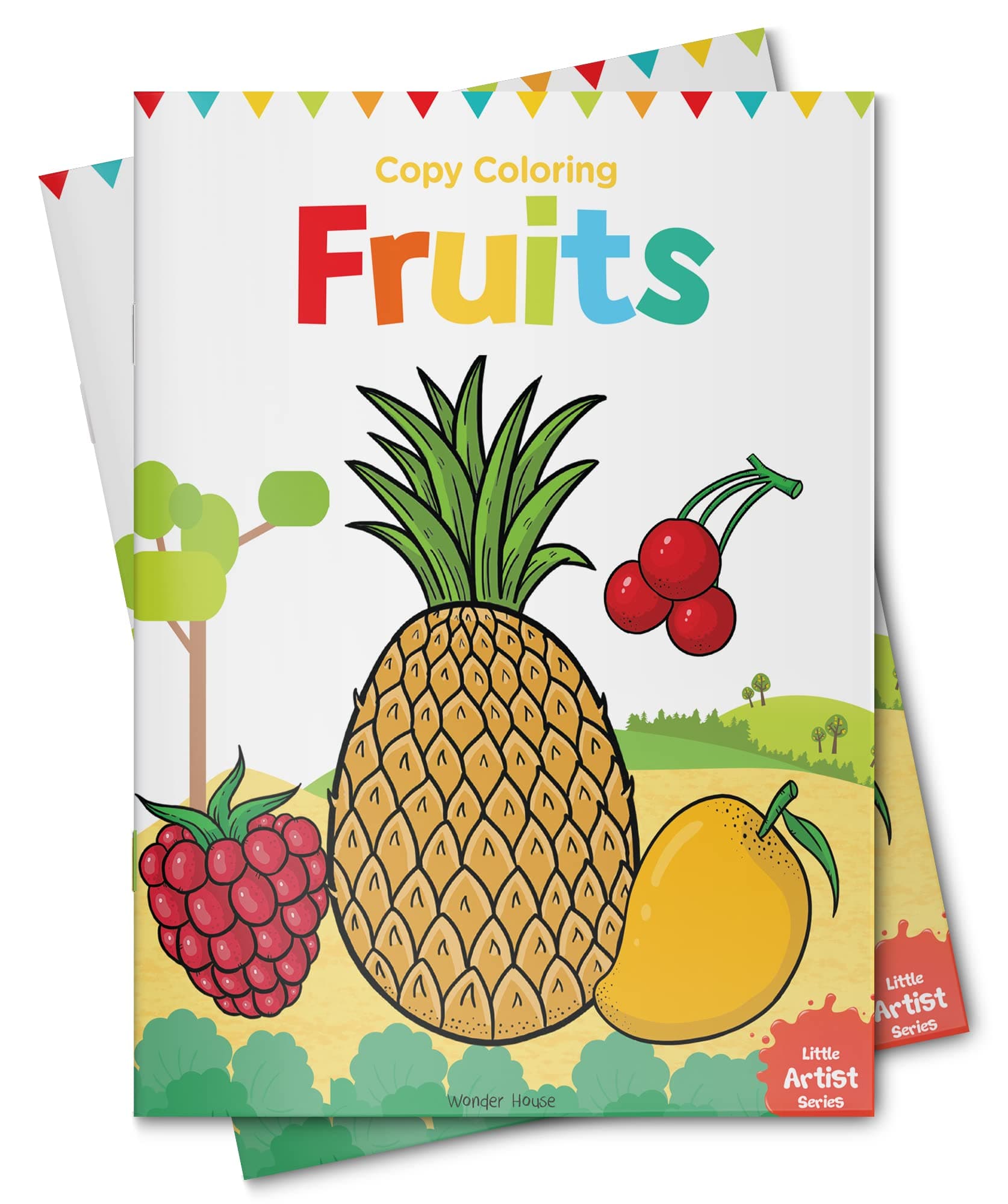 Little Artist Series Fruits: Copy Colour Books Paperback – 15 July 2018