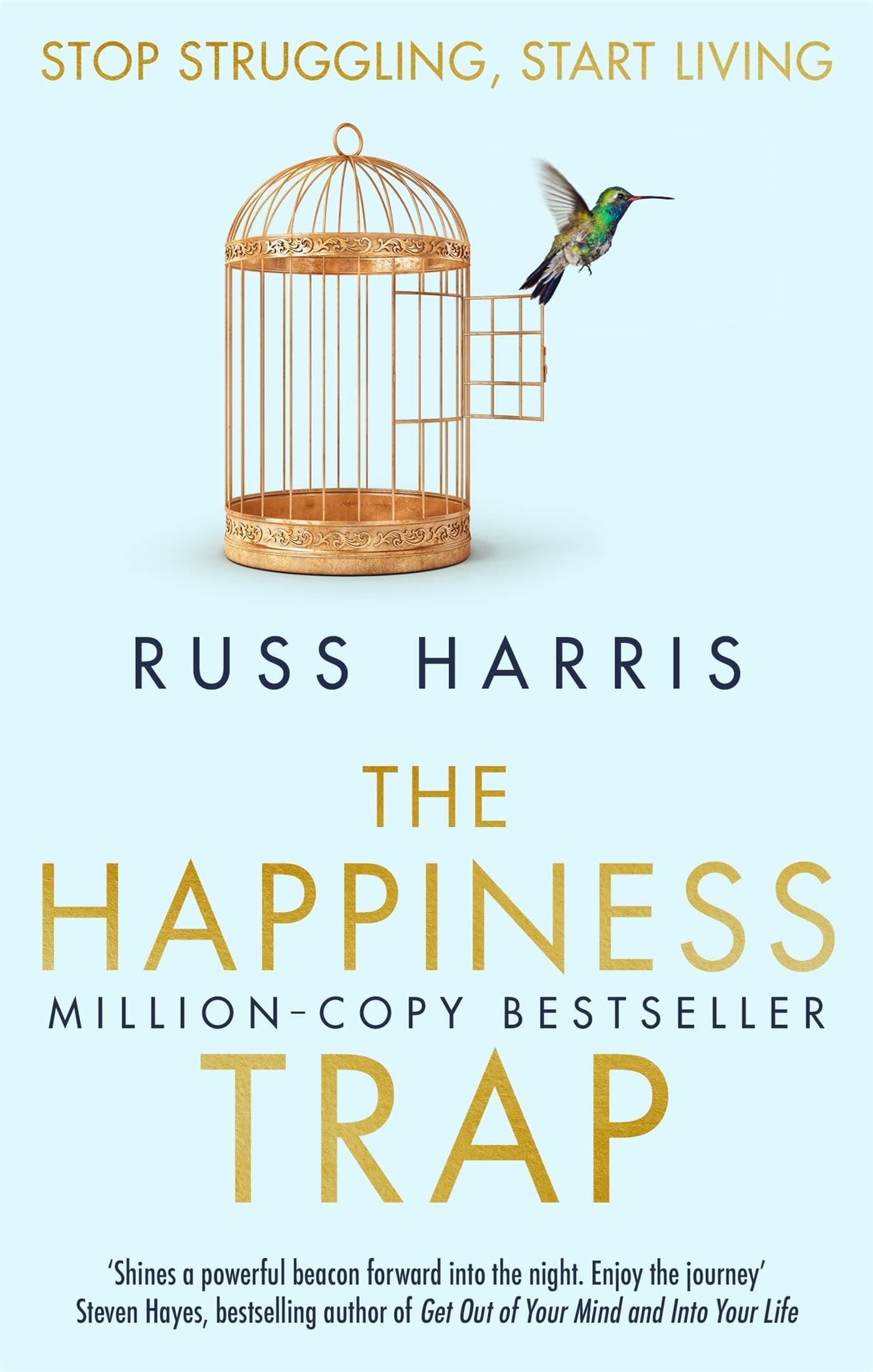 The Happiness Trap: Stop Struggling, Start Living Paperback – 26 Jun. 2008