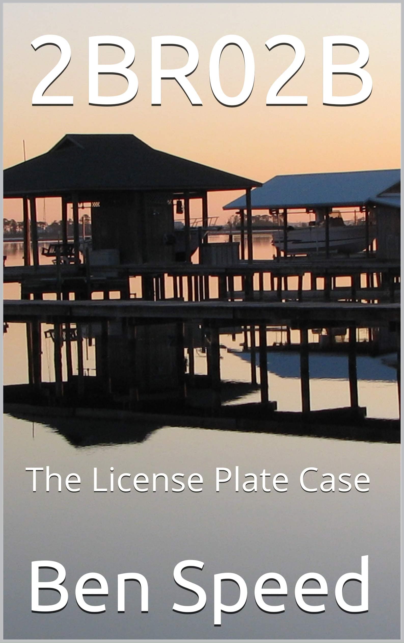 2BR02B: The License Plate Case (Sonny Walters P.I. Series Book 6)