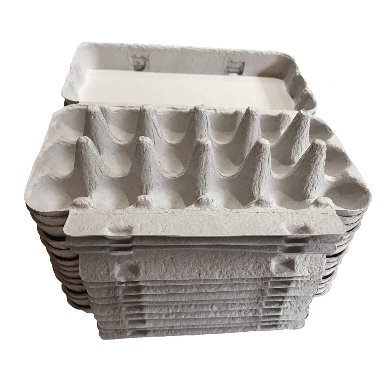 MISTERCAILLE Cardboard Boxes for Egg Quail – Pack of 20