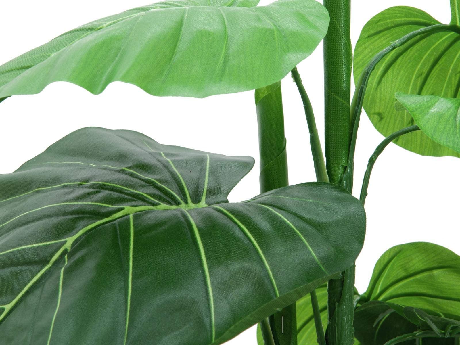 Europalms 82508453 Caladium Plant, 90 cm, Multicoloured, One Size