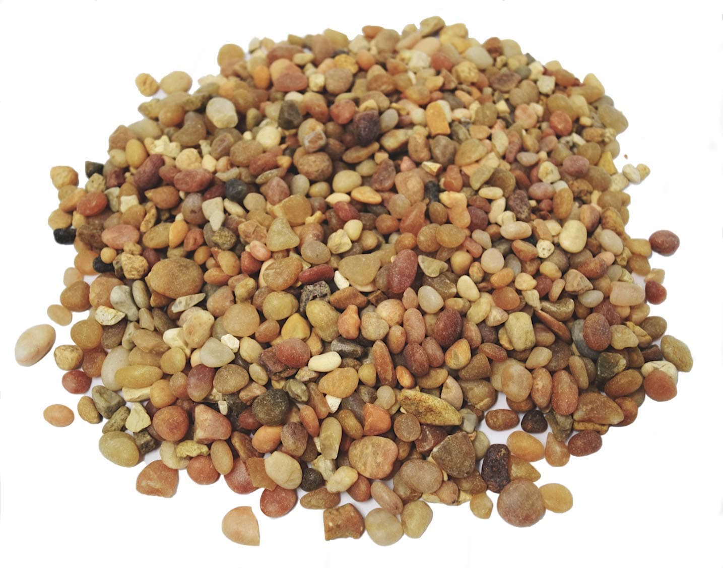 1 lb - Washed Pea Gravel - Succulent Pebbles and Rocks for Plants - Planter and Fairy Garden. Great Fairy Garden Accessories