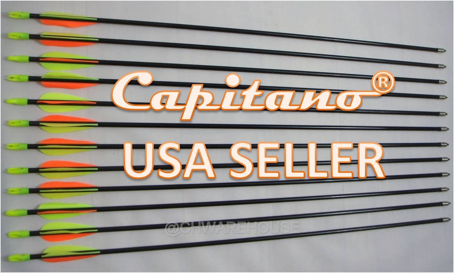 Capitano Archery Fiberglass Target Practice Arrows with Nocks Fletches