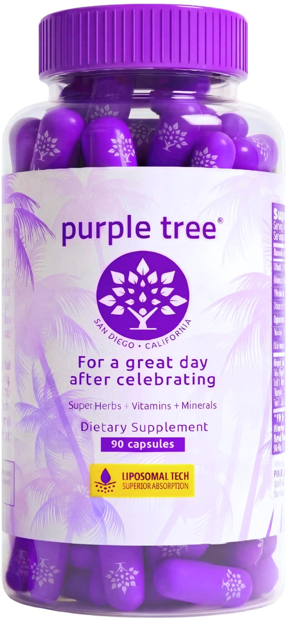 Celebration Recovery Pills | Better Mornings, Happy Liver, Rapid Hydration | Dihydromyricetin DHM, Milk Thistle, Electrolytes, Vitamin B, Willow Bark, Prickly Pear, Quercetin (90 Pills)