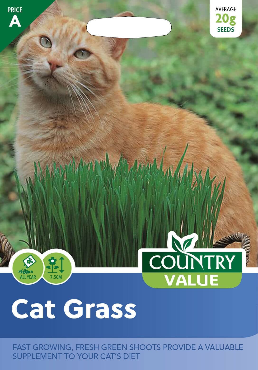 Country Value CAT GRASS Seeds