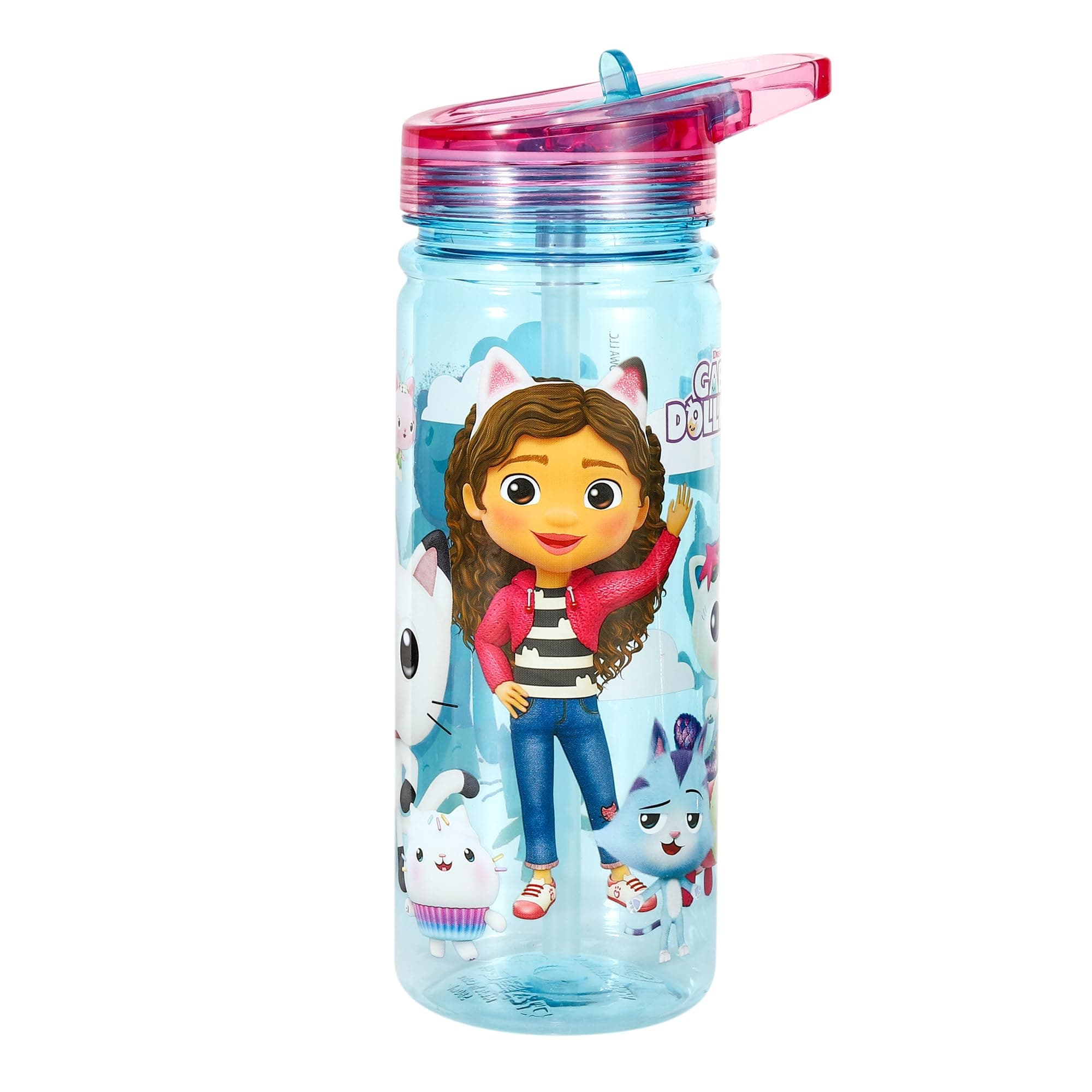 Zawadi Global Gabby's Dollhouse 580ml Water Bottle for Kids School Drinks Bottle Made of Durable Ecozen Reusable BPA Free