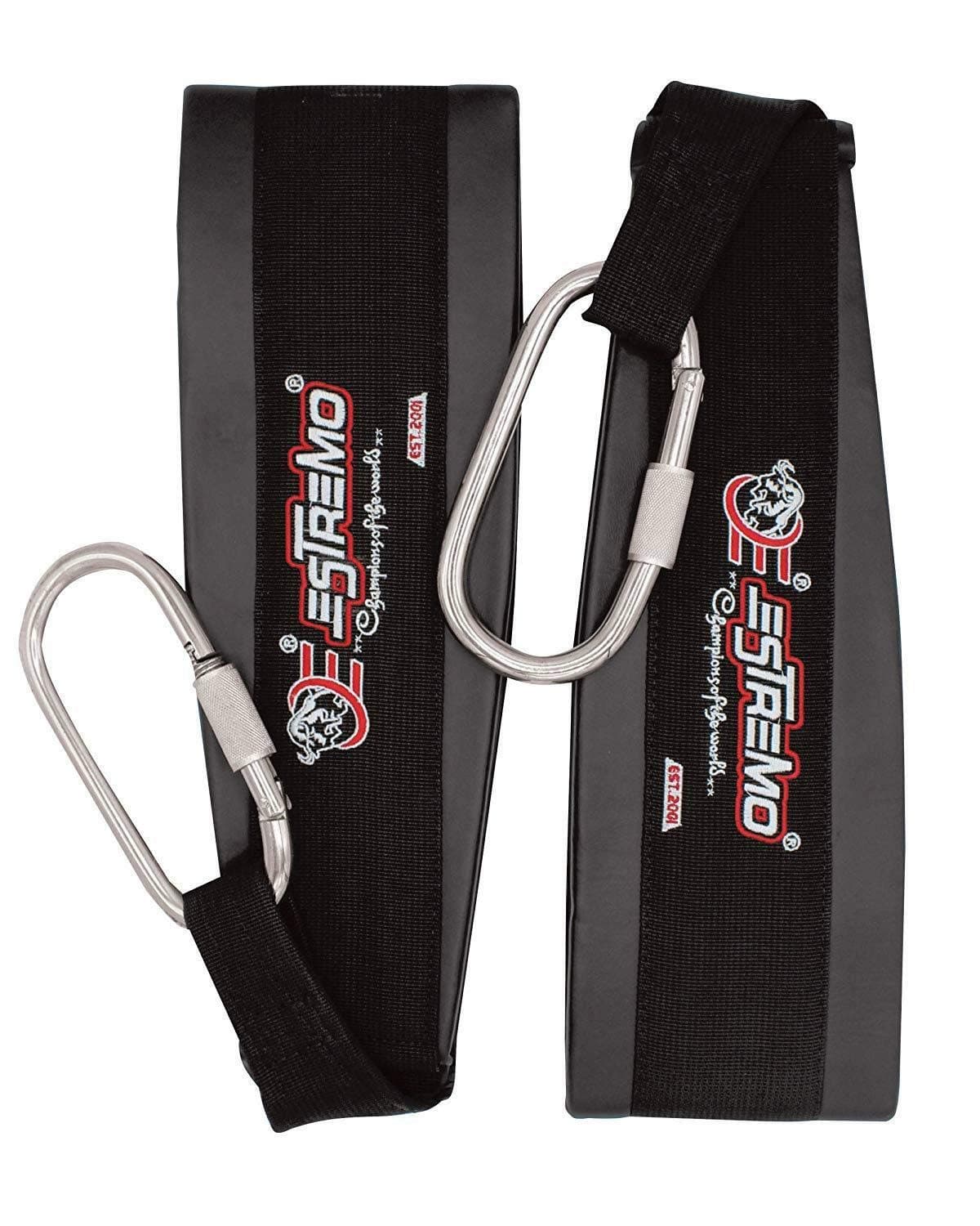 ESTREMO Hanging AB Sling Straps, Sling AB Pull up Straps Hanging Belt Heavy Duty Workout