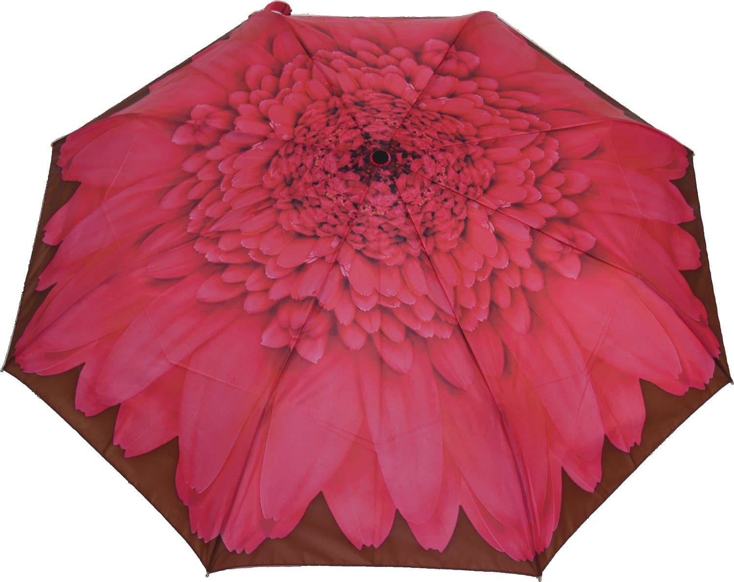 Artbrollies Folding Umbrella - Gerbera Daisy