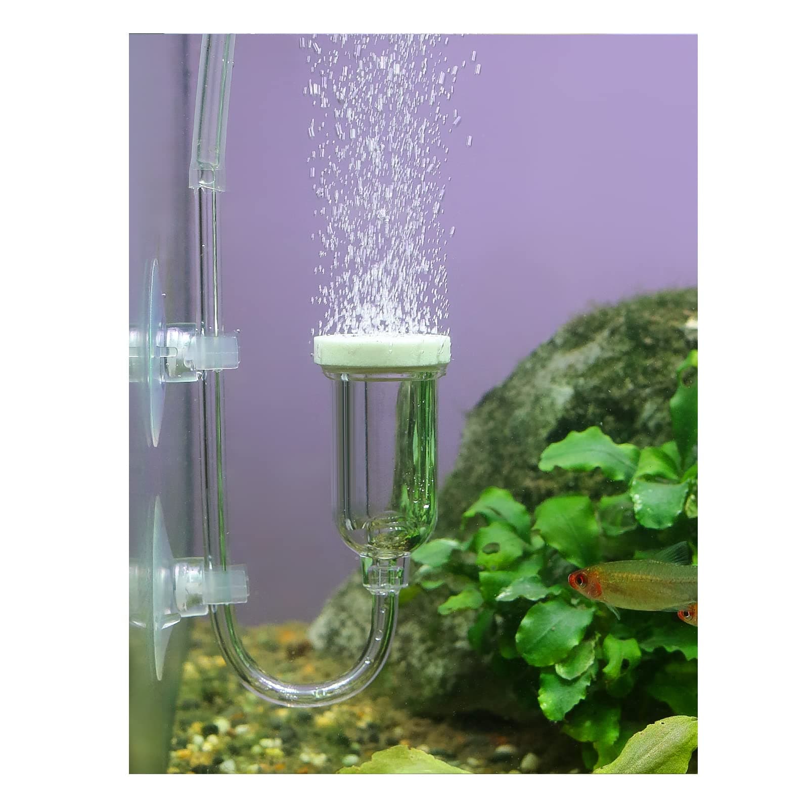 boxtech Aquarium Air Stone, Fish Tank Bubble Diffuser High Dissolved Oxygen Airstones for Air Pump Accessoriess with 1 Check Valve, 2 Suction Cup for Aquarium Pond Hydroponic