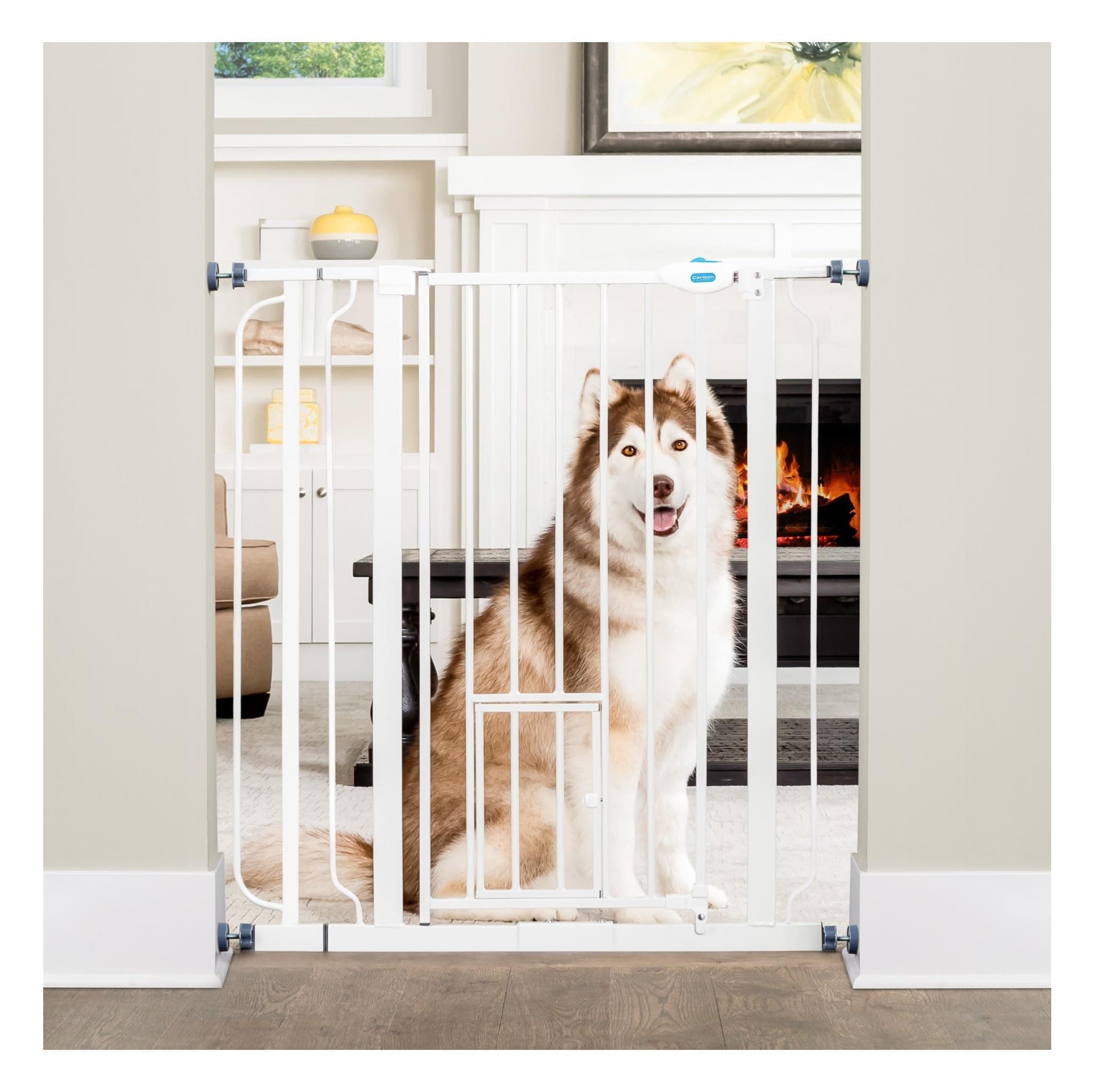 Carlson Pet Products Carlson Extra Tall Walk Through Pet Gate with Small Pet Door, Includes 4-Inch Extension Kit, 4 Pack Pressure Mount Kit and 4 Pack Wall Mount Kit