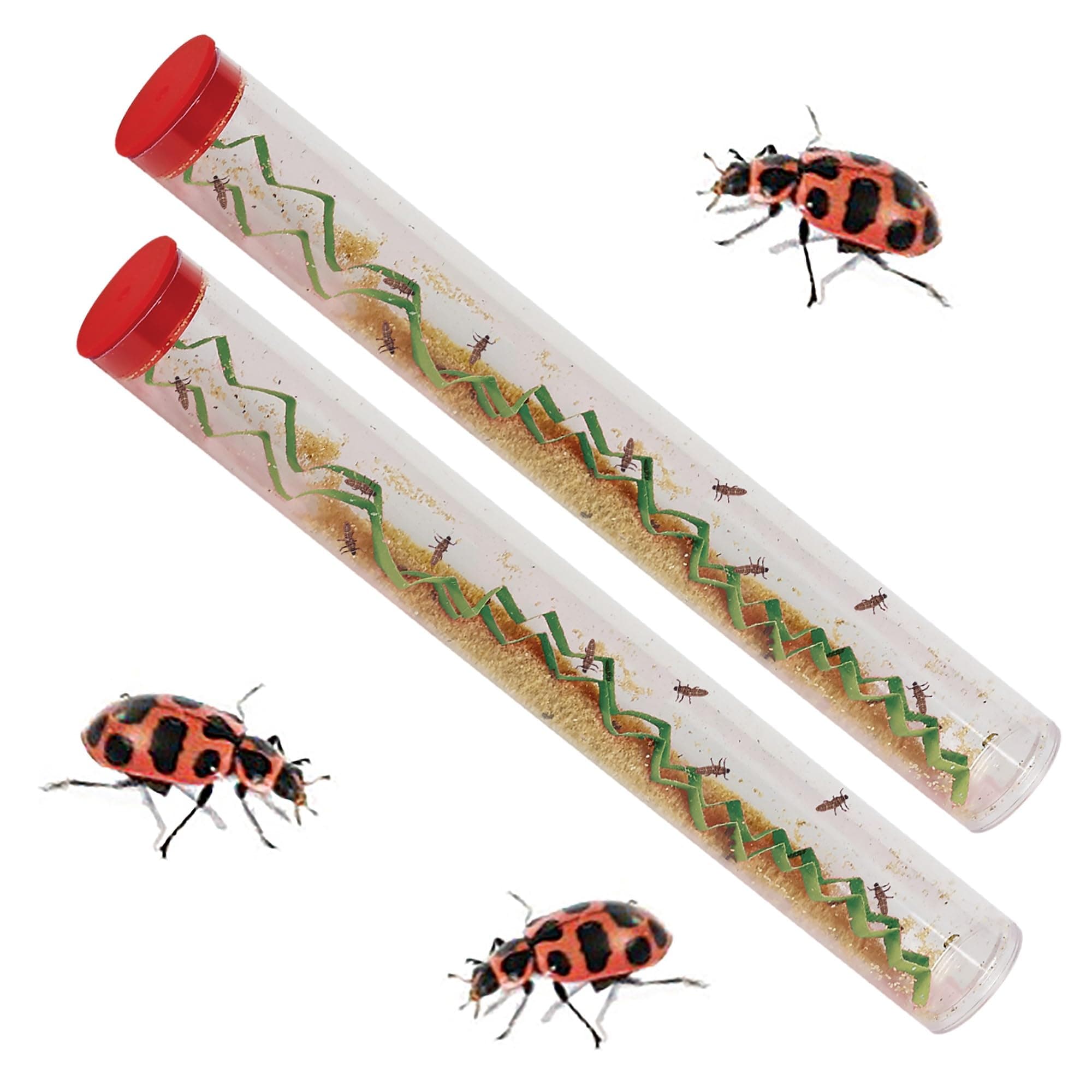 Insect Lore Two Tubes of Live Ladybug Larvae - Raise 20-25 Pink Spotted Ladybugs - Life Science and STEM Education - Habitat Refill