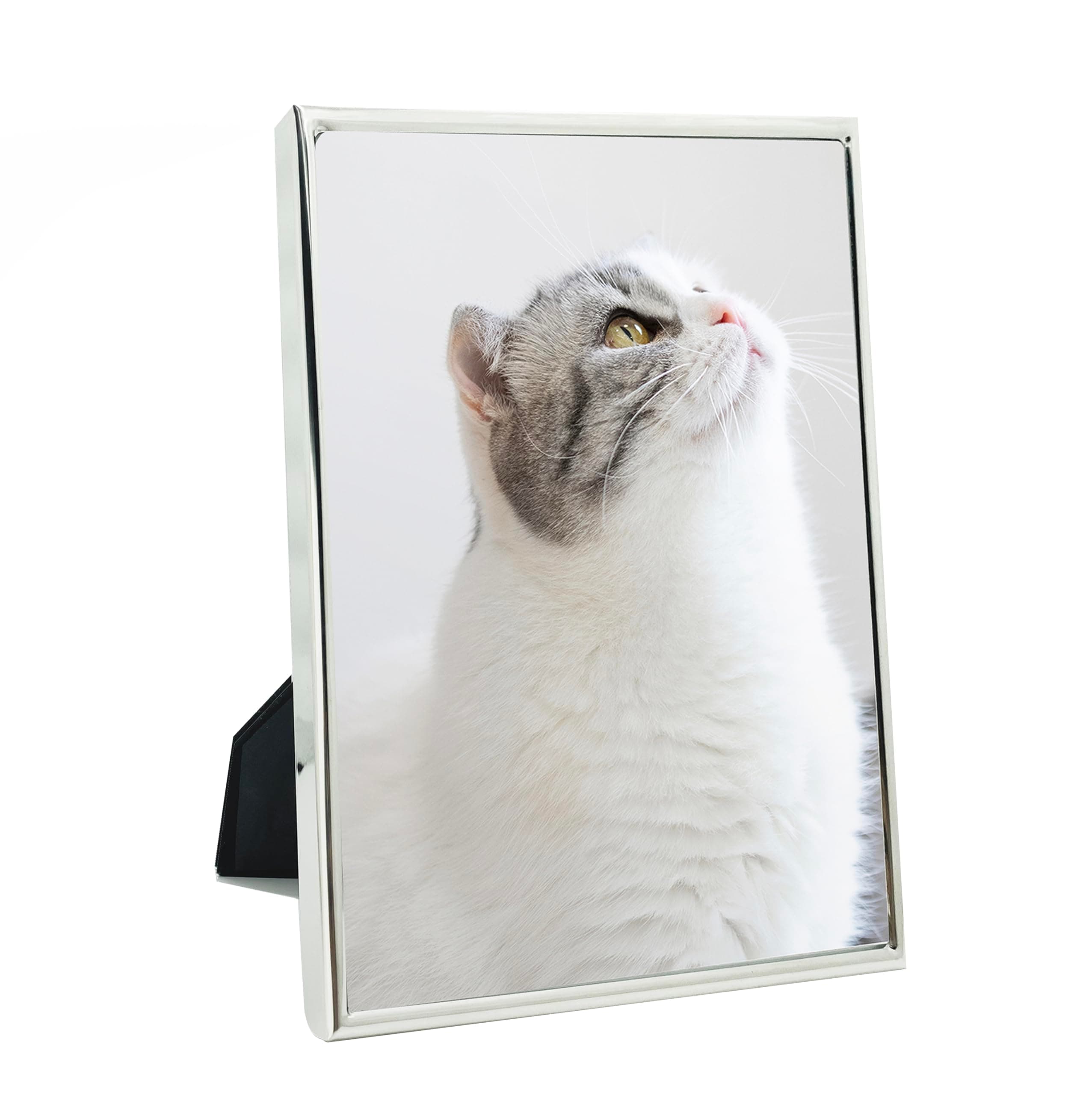 DECANIT 4x6 Picture Frame Metal, Thin Profile Photo Frame 4 by 6 Inch, Display for Wall or Tabletop,Silver