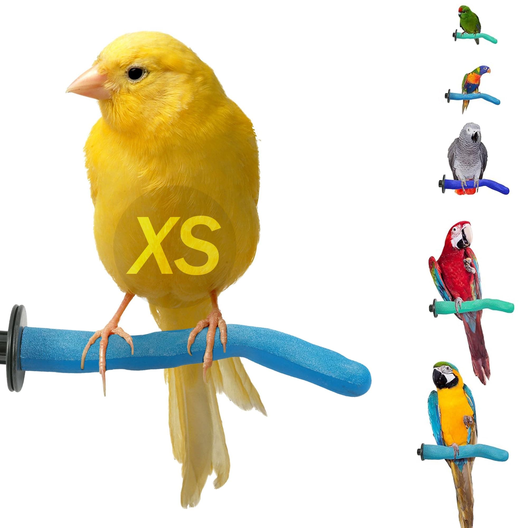 Sweet Feet & Beak Safety Pumice Bird Perch, X-Small 1/2" X 6", Blue - Lightweight Grinding Bird Perches for Cage - Bird Nail Trimming Perch for Healthy Beak & Feet - Multi-Size & Color Parrot Stand