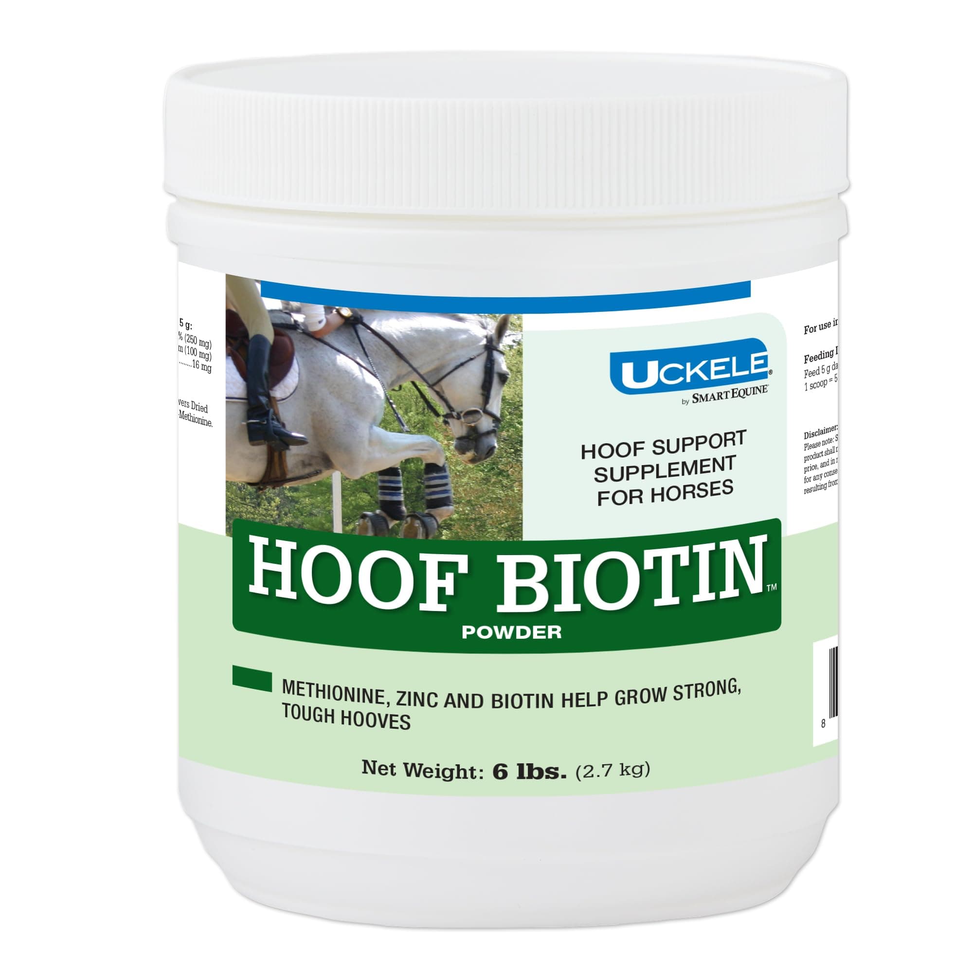 Uckele by SmartEquine Horse Biotin Powder | Hoof Supplement for Horses | Biotin for Horses | Includes Zinc and Methionine | 6 lb Bucket