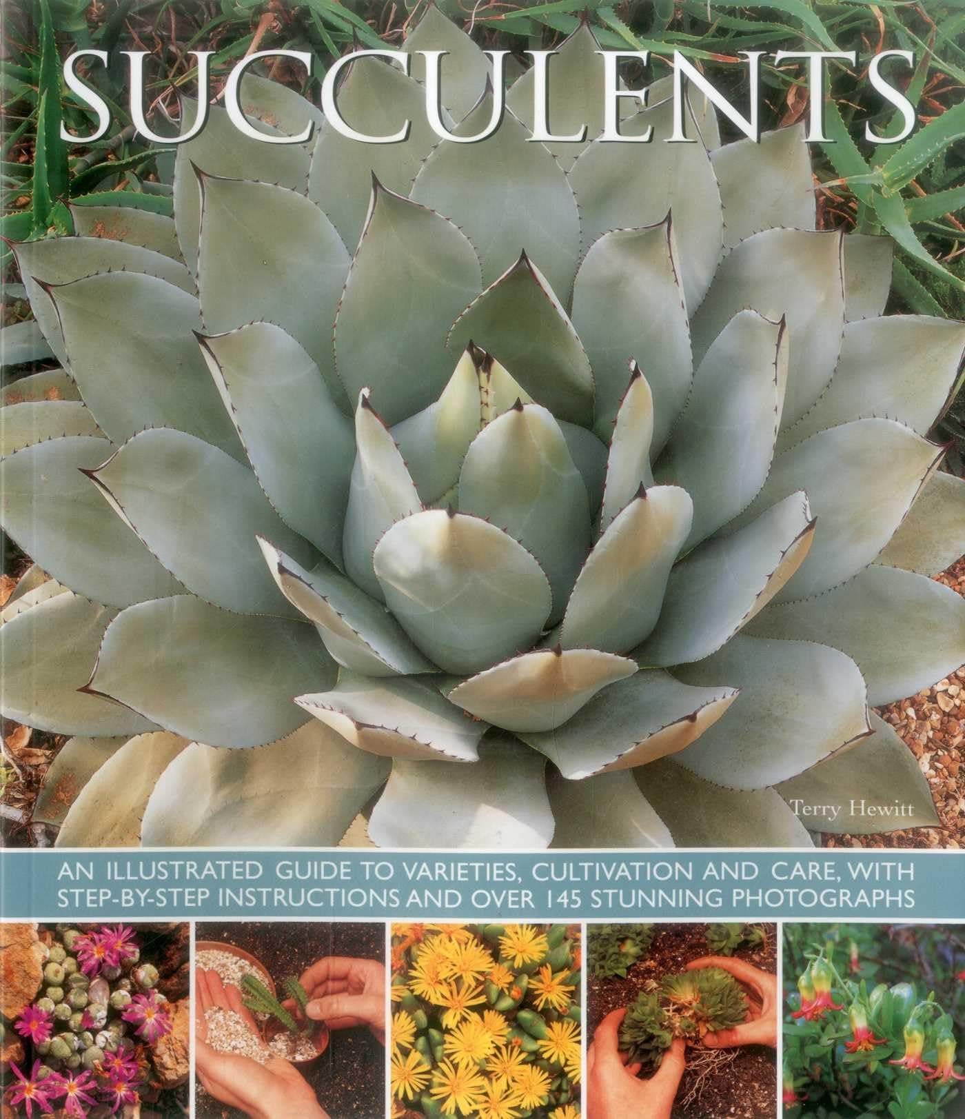 Succulents: An illustrated guide to varieties, cultivation and care, with step-by-step instructions and over 145 stunning photographs Paperback – October 7, 2015