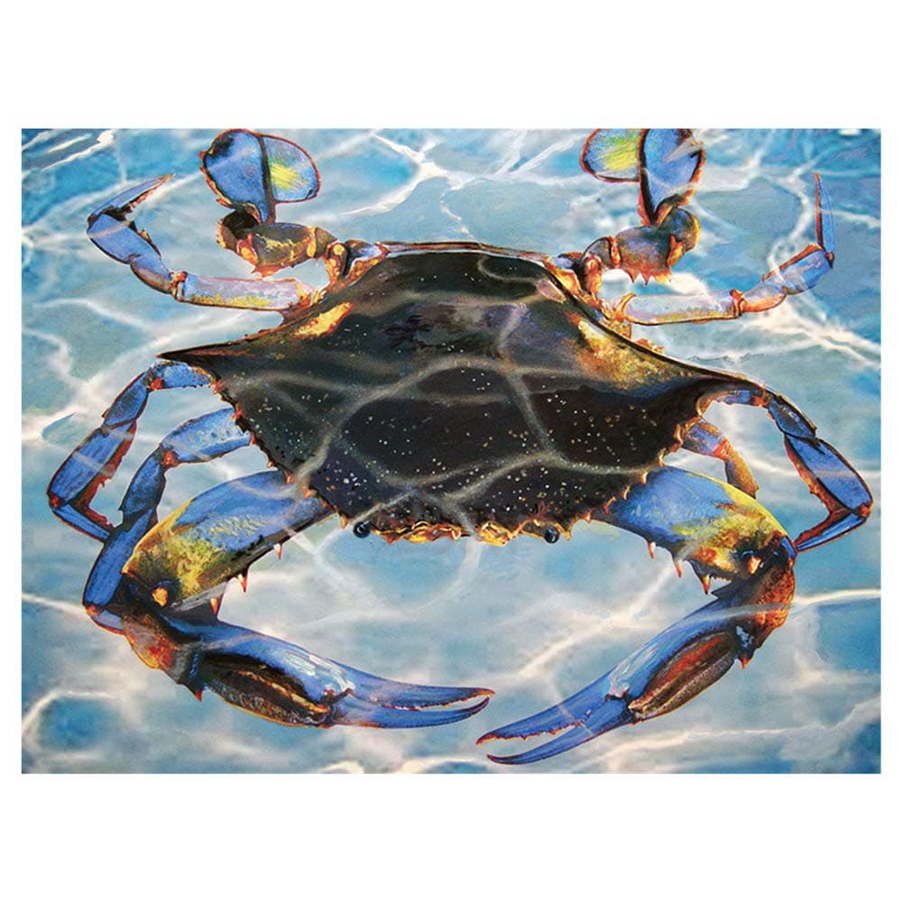 Aphila 5D Diamond Painting Kits for Adults and Beginner Full Drill Round Resin Rhinestone Embroidery Diamond Cross Stitch Arts Craft Supply Home Decor Gift 10x12inches,Colorful Crab