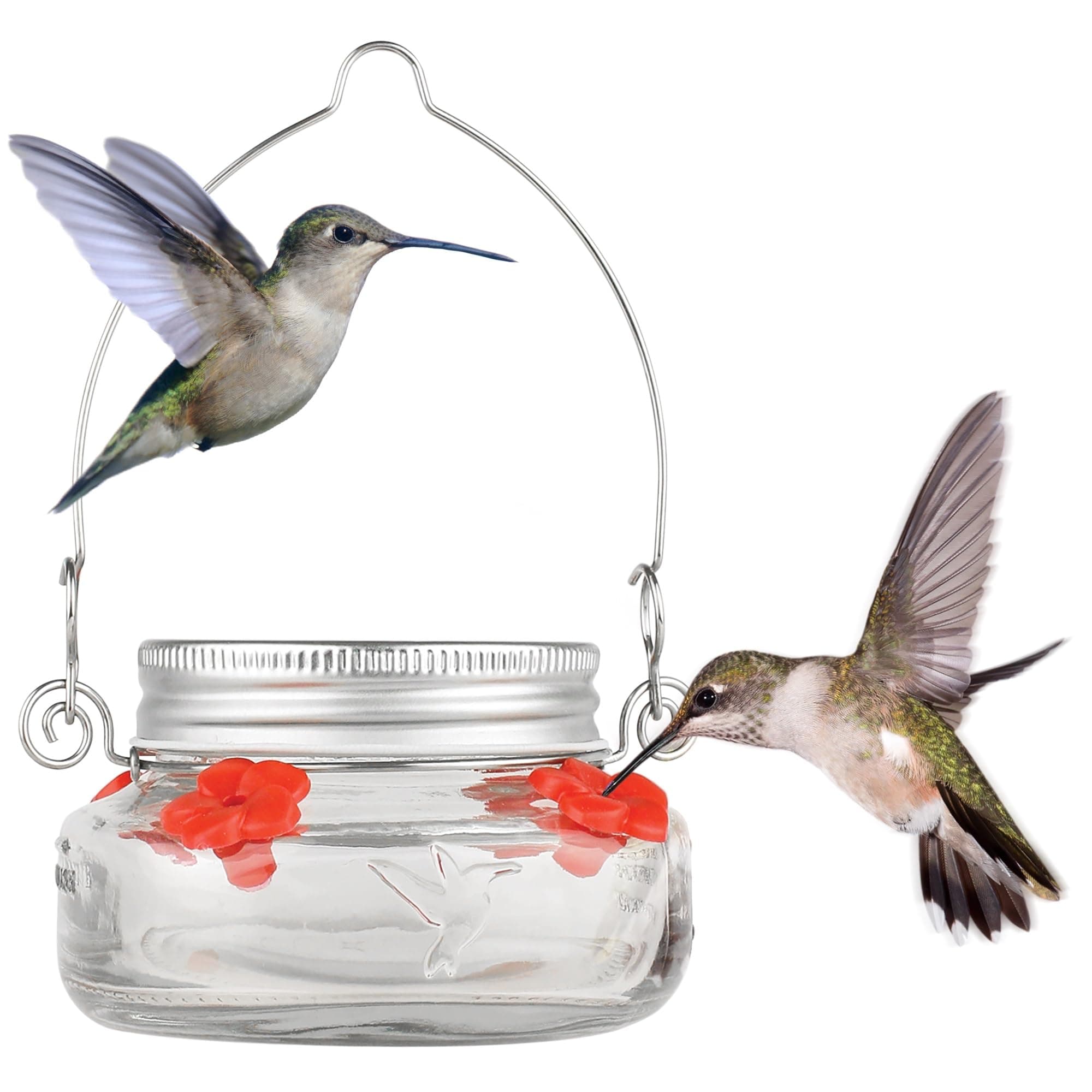 Bird Products MJF1 Nature's Way Mason Jar Hummingbird Dish Feeder, Clear