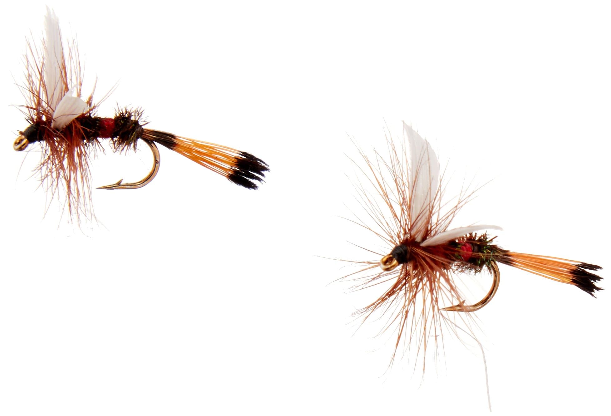 Crystal RiverTrout Flies Royal Coachman #14 Feathers