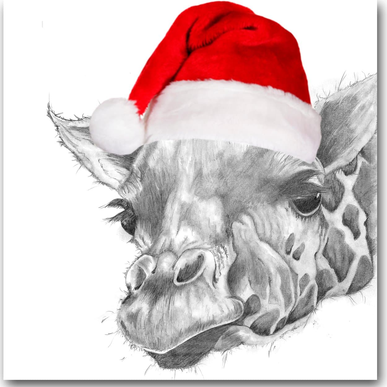 Luxury Christmas Card - Christmas Giraffe - Blank Inside - Sarah Boddy - Single Card - White