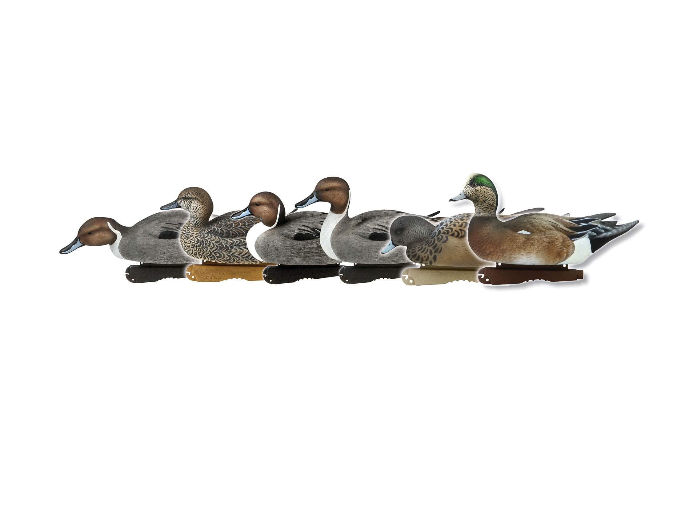 AveryPG Marsh Pack (1/2 Dozen)