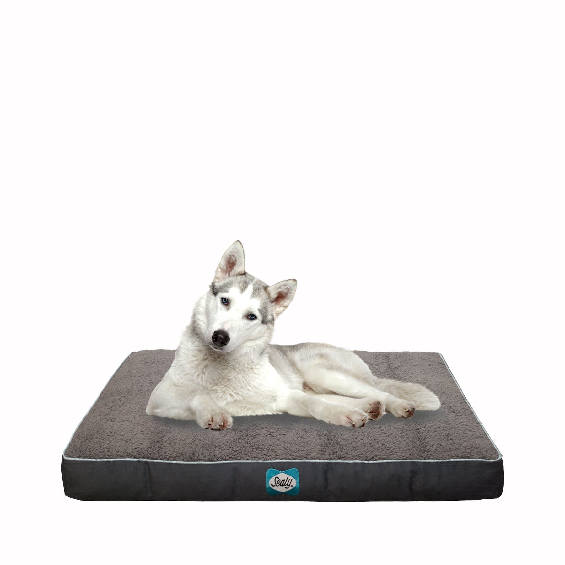 SEALY Dog Bed Cozy Comfy Sherpa Bed, Medium, Grey