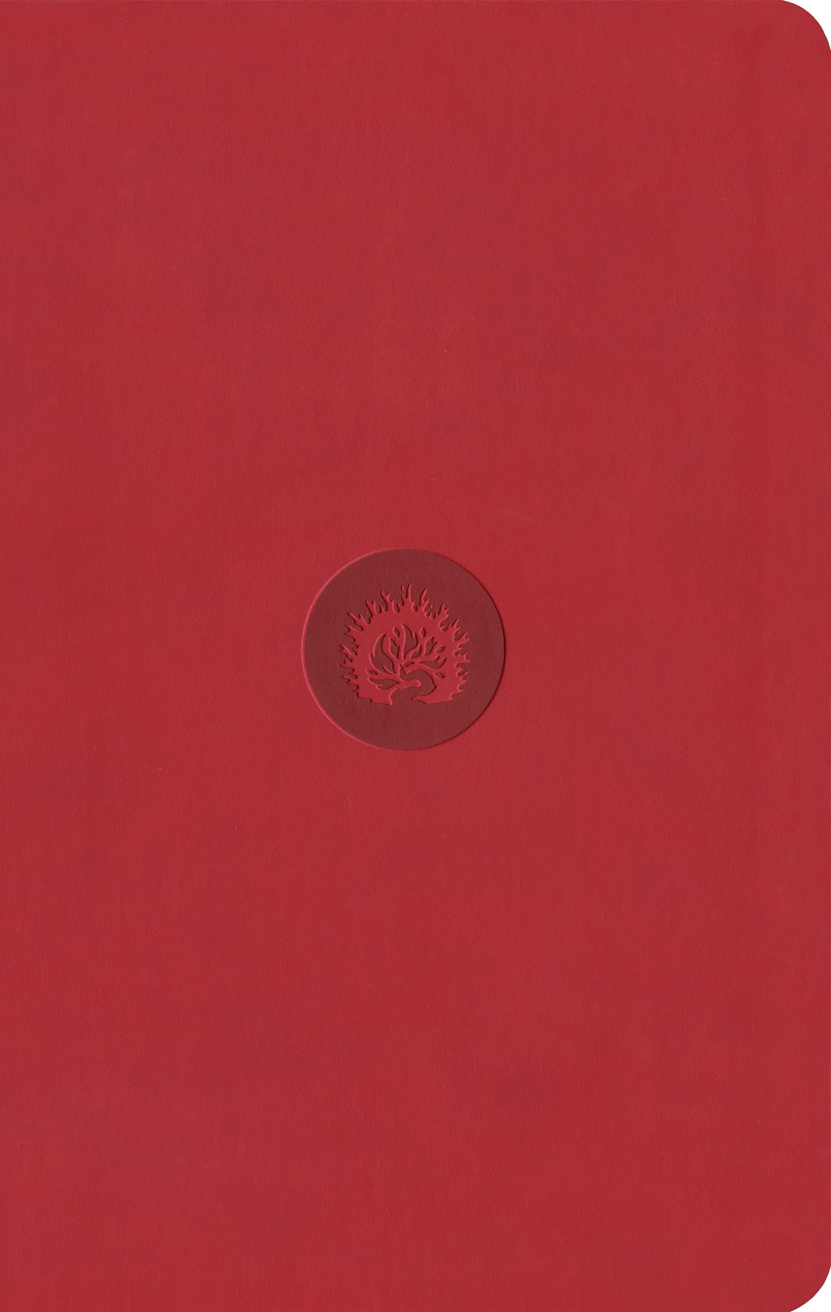 ESV Reformation Study Bible, Student Edition, Red