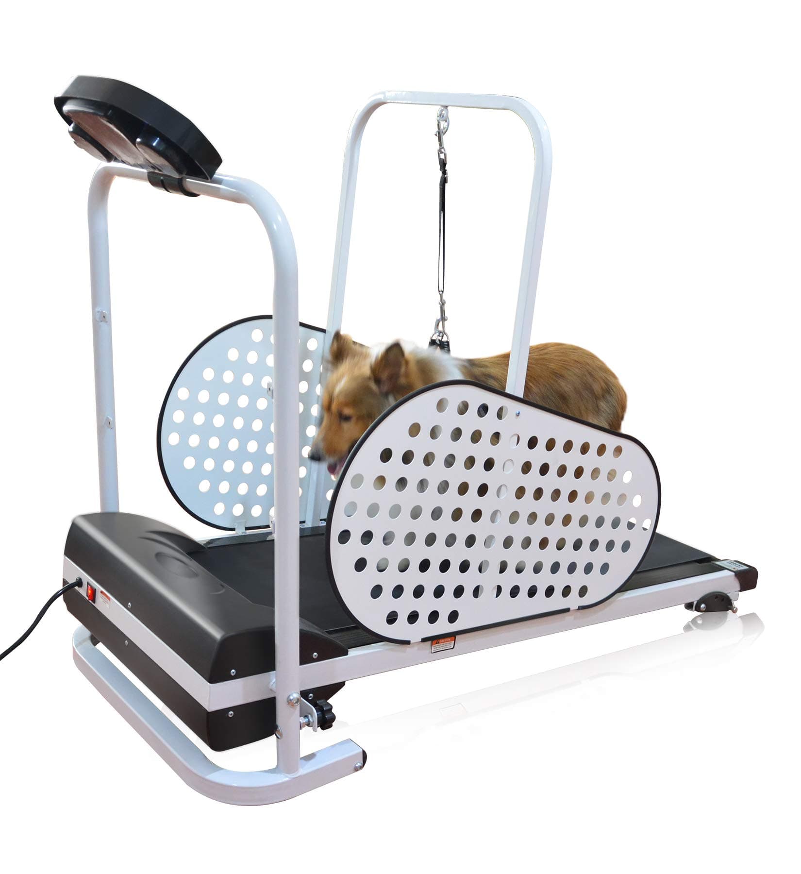Shelandy Pet Treadmill | Smart and Motorized Treadmill for Small & Medium Dogs