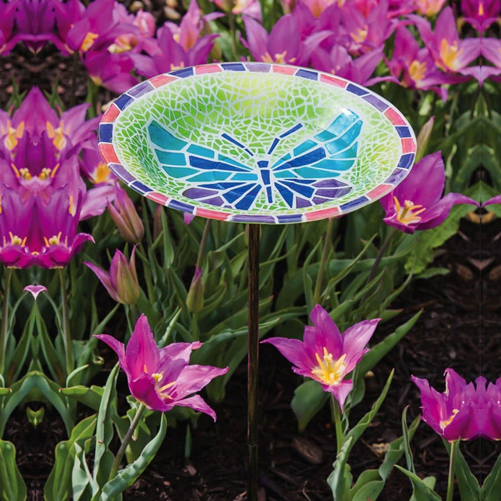 Vibrant Butterfly Bird Bath