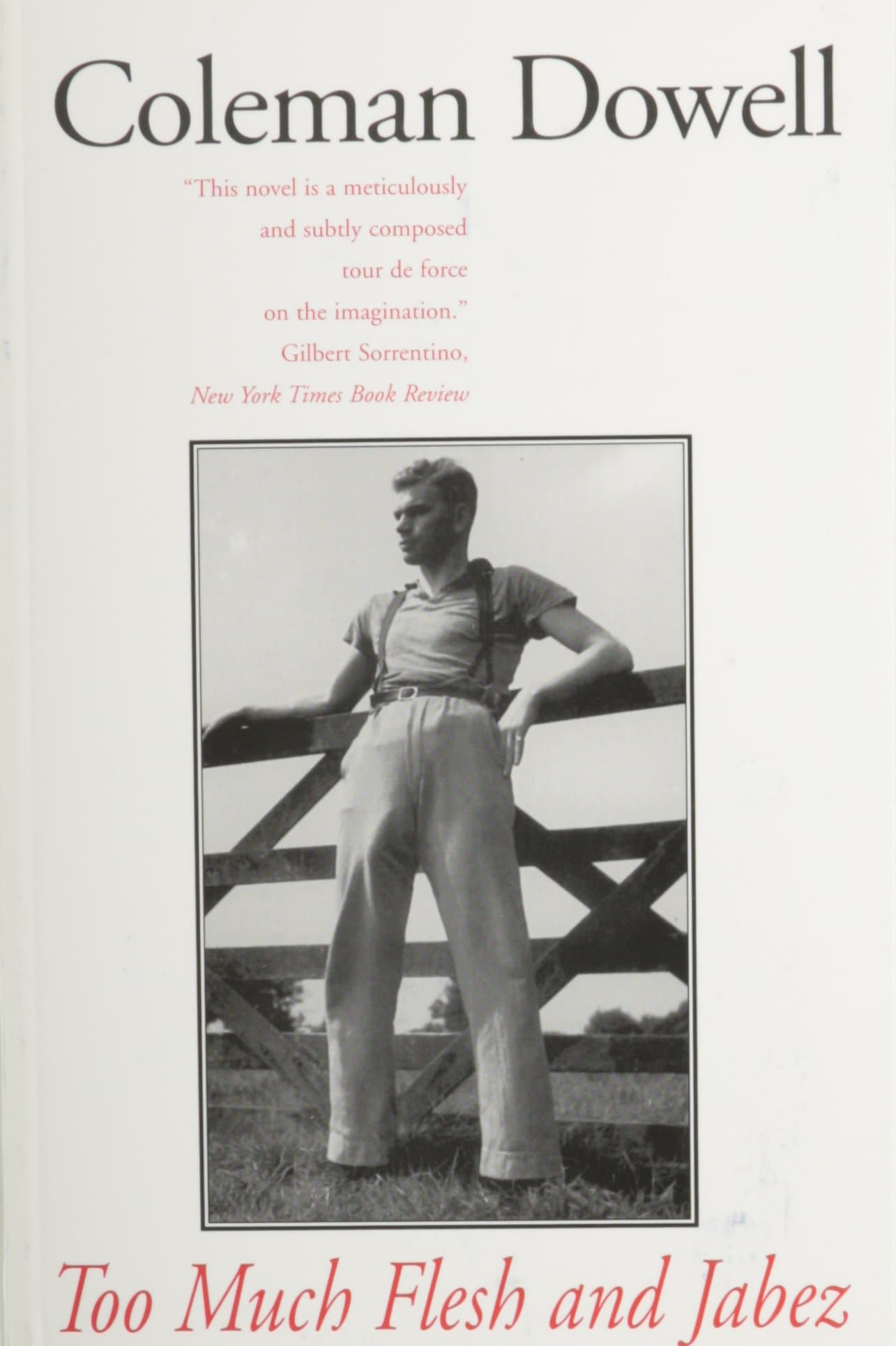 Too Much Flesh and Jabez (American Literature (Dalkey Archive))