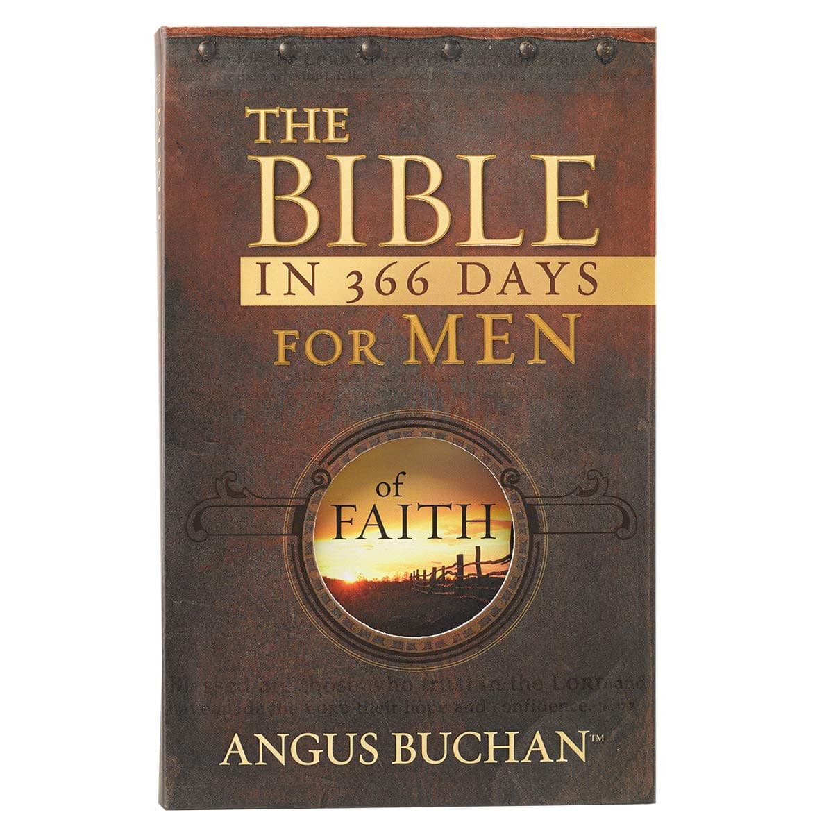 The Bible in 366 Days for Men of Faith Paperback – 1 Nov. 2012