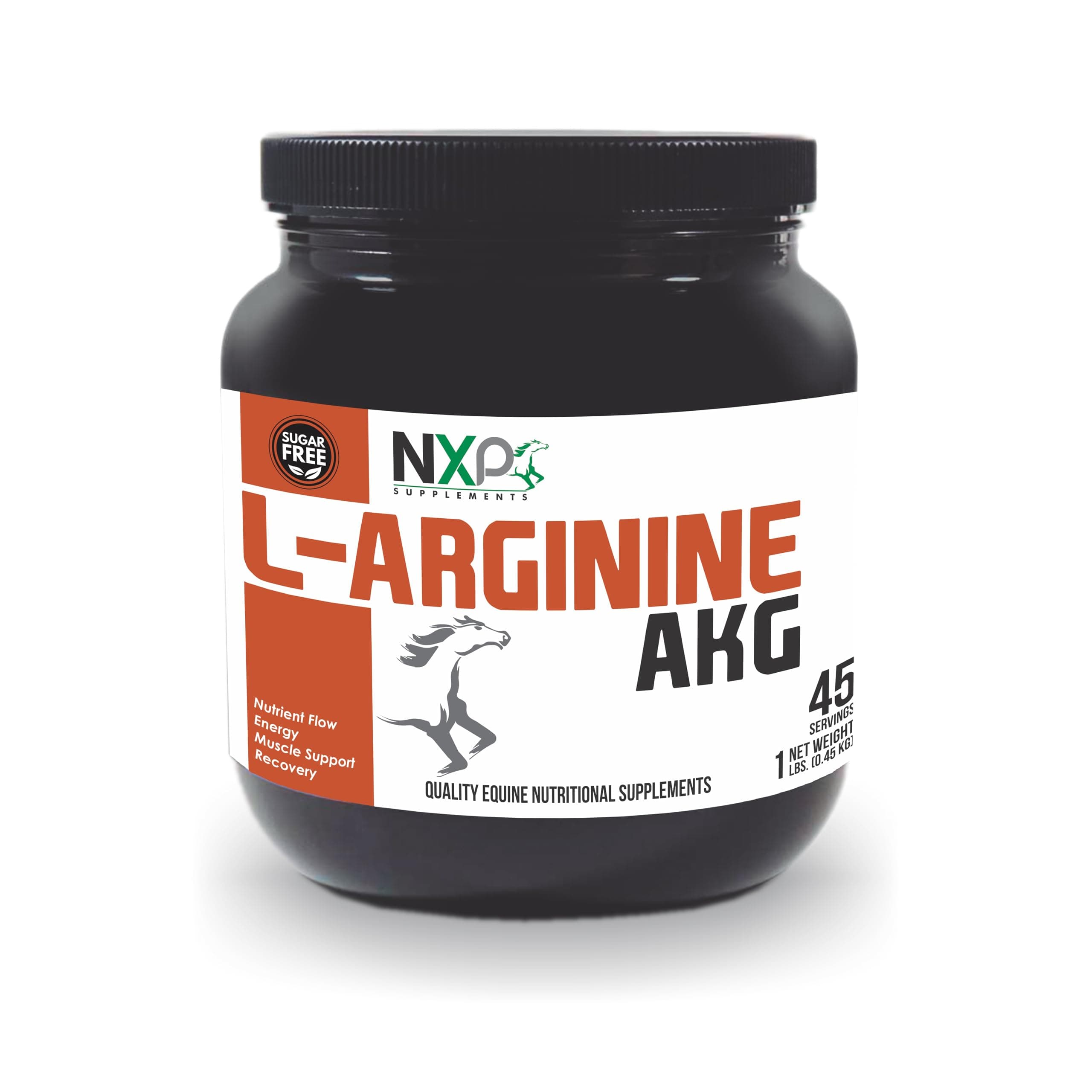 L-Arginine AKG - Boosts Performance, Muscle, Energy & Recovery Nitric Oxide Booster Vasodilation Nutrient Flow Support Supplement for Horses - 1 lb / 45 Servings