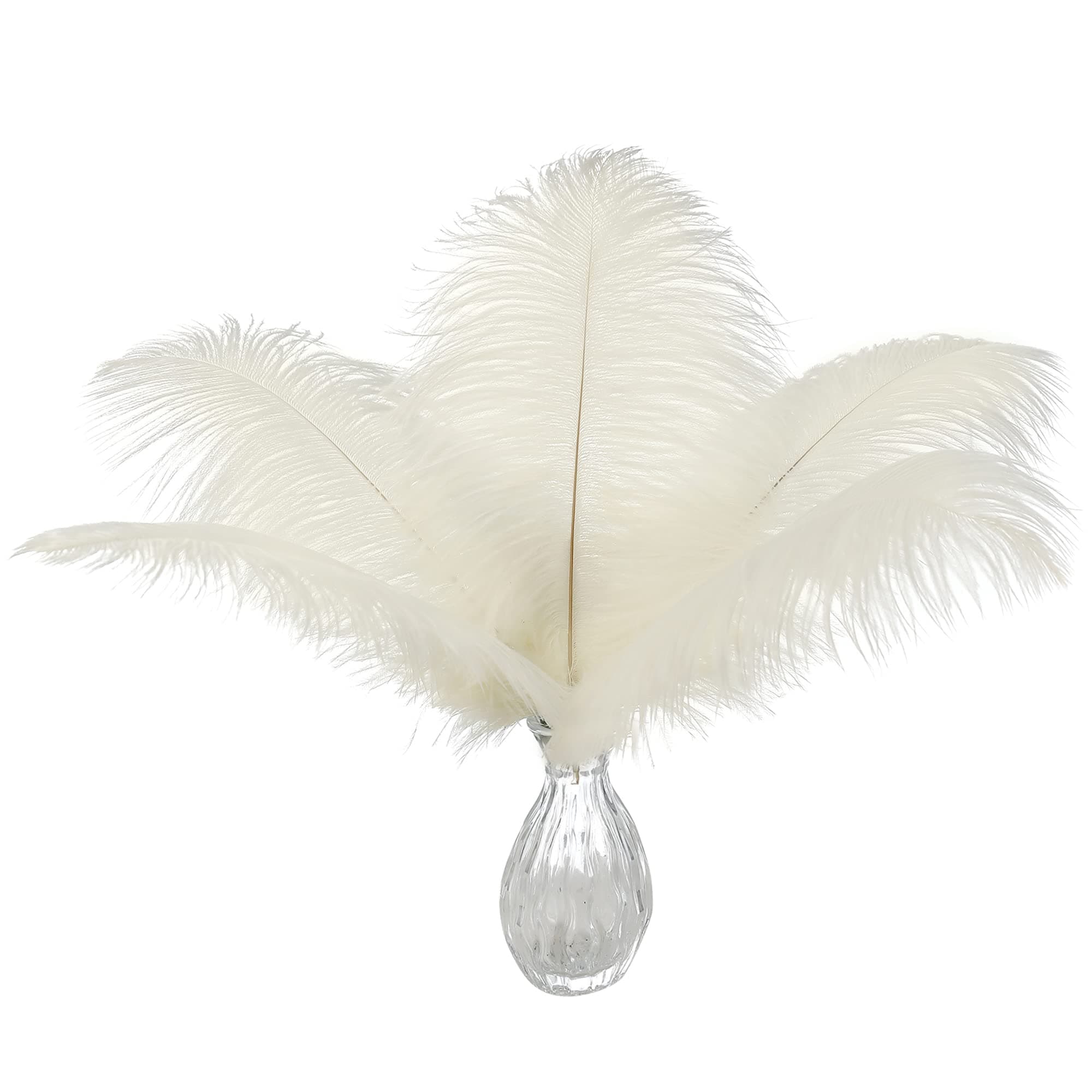 Ballinger Beige Ostrich Feathers Bulk - 24pcs 10-12inch Boho Feathers for vase，Wedding Party Centerpieces and Home Decor