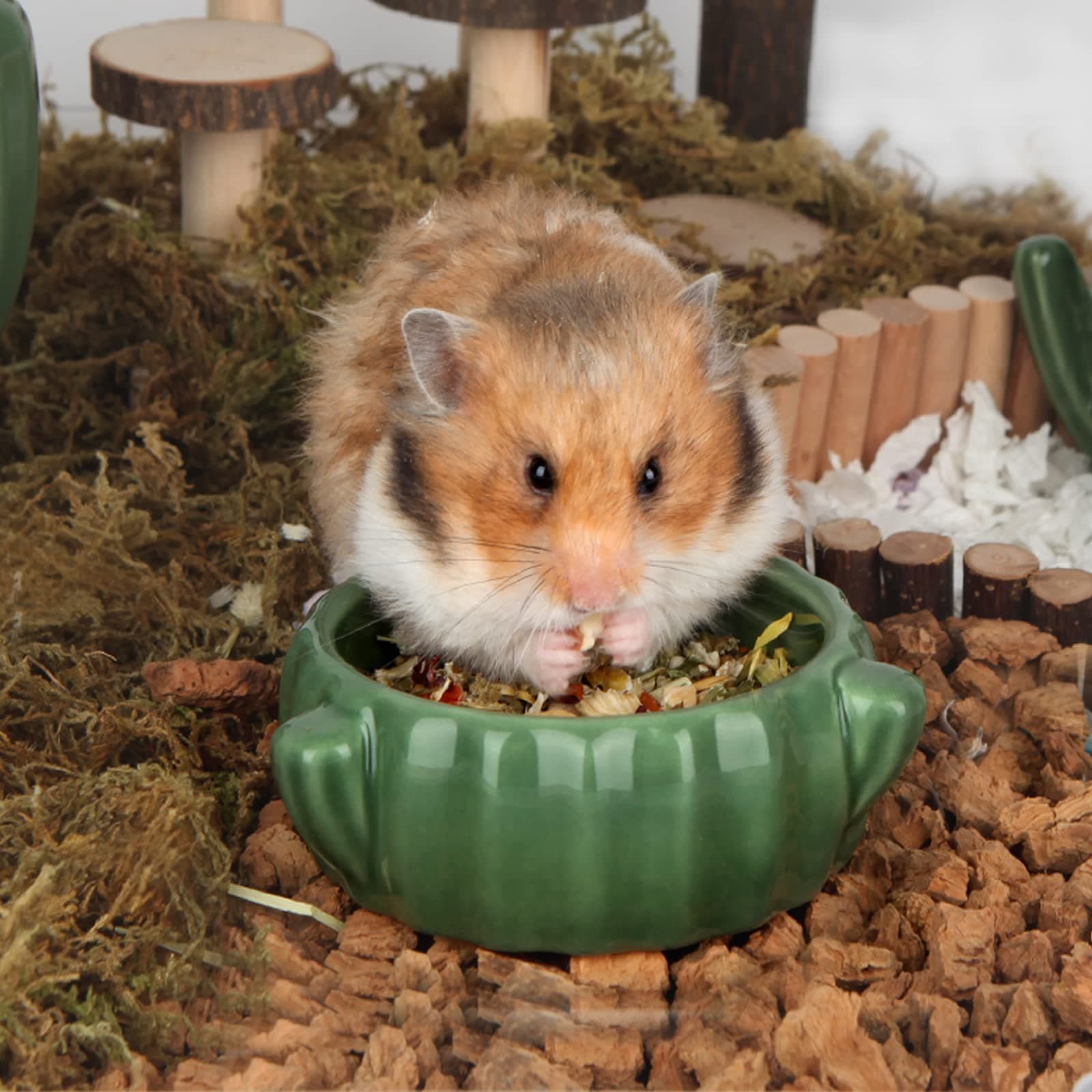 Hamster Food Bowl