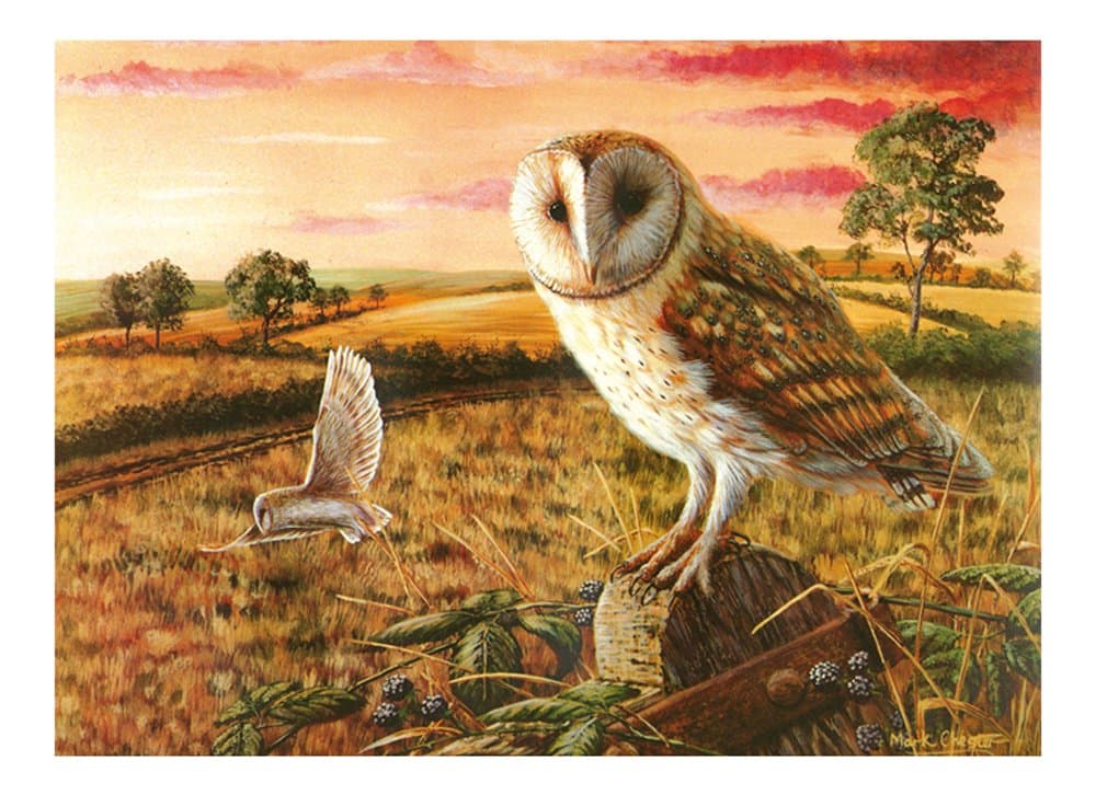 Owl Large Glass Worktop Protector 40X50Cm
