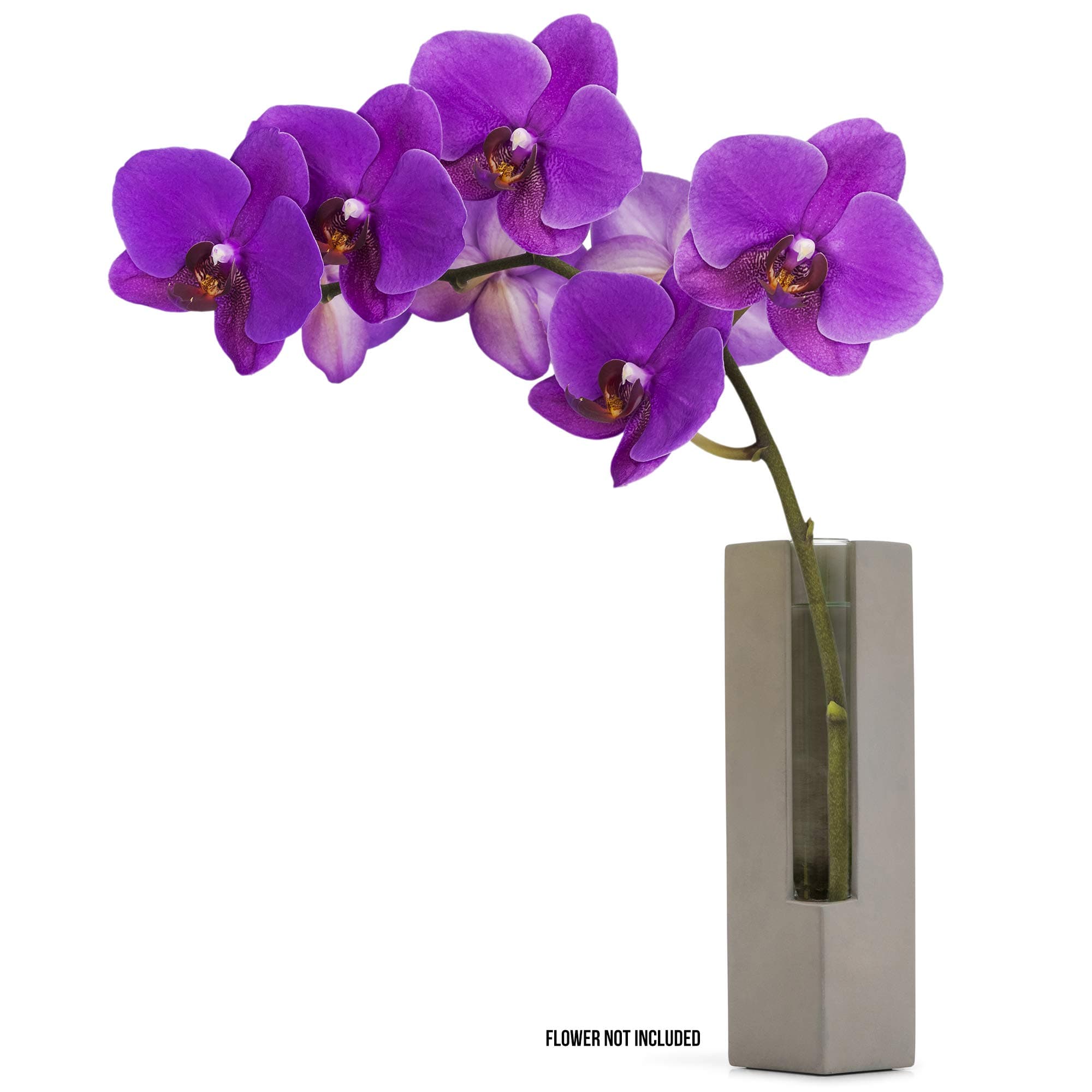 Casadorna Modern Flower Vase Glass Tube with Polished Concrete - Orchid Bud Vase Glass Tube Flower Vase | Decorative Centerpiece for Table Wedding Hotel Office Home Decor Floral Display | 8" H