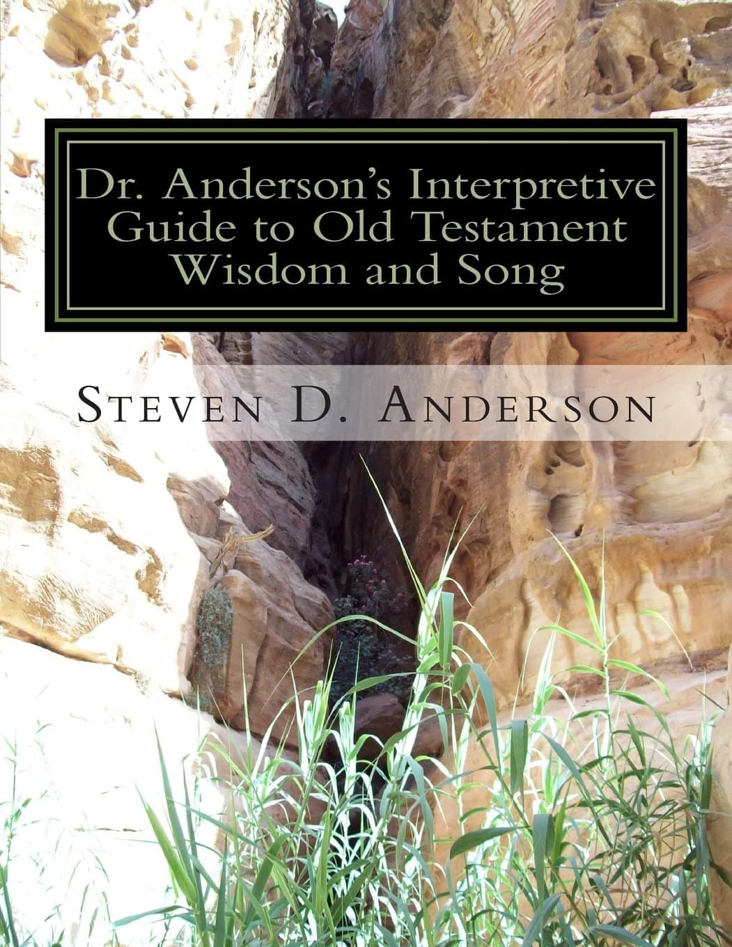 Dr. Anderson's Interpretive Guide to Old Testament Wisdom and Song: Job-Song of Songs (Dr. Anderson's Interpretive Guide to the Bible)