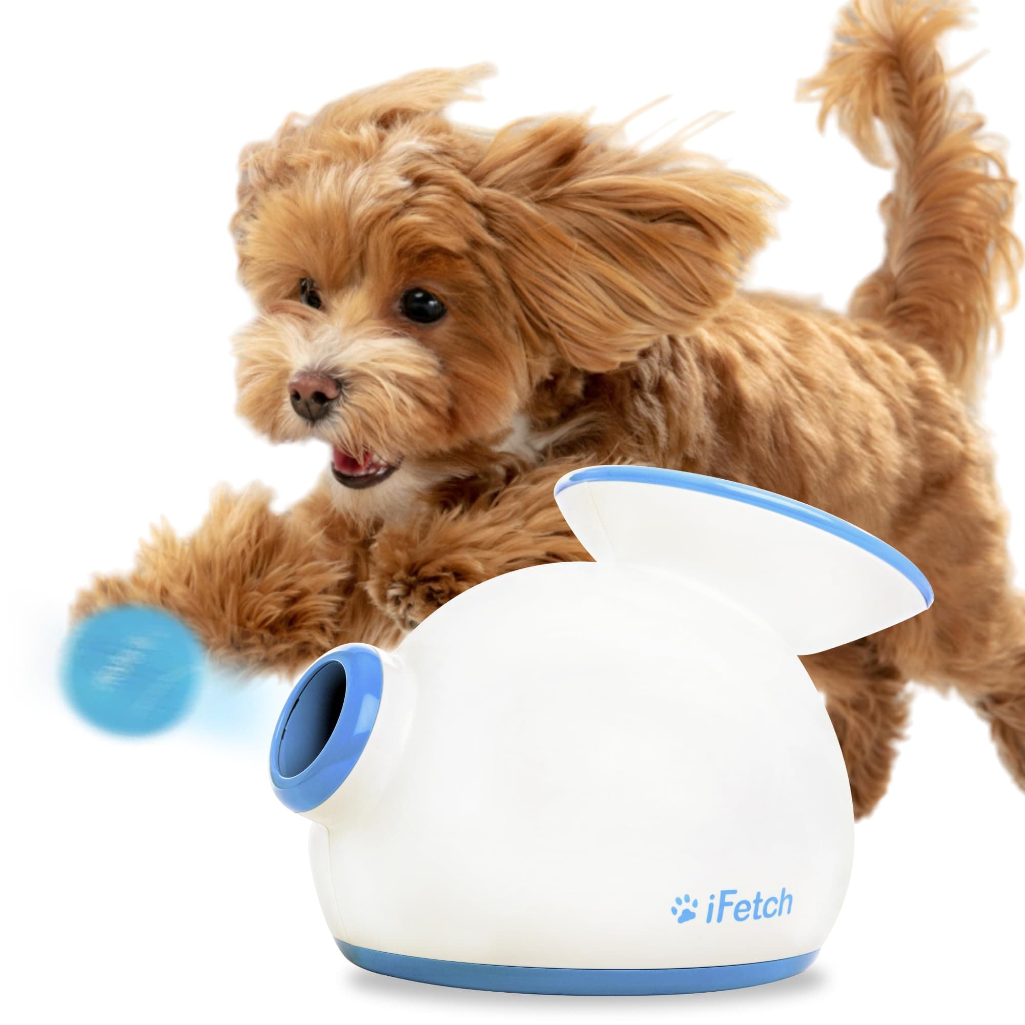 iFetch Interactive Ball Launchers for Dogs (White/Blue)