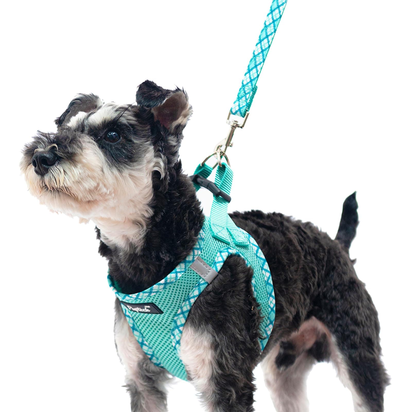 PUPTECKStep-in Dog Harness Small Dog No Pull Vest and Lead Set for Puppy Cats Outdoor Walking, Green SClimatePartner certified