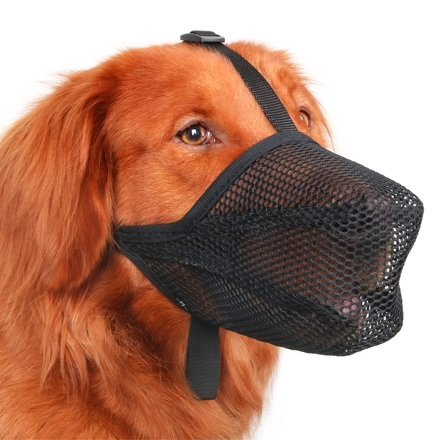 Dog Muzzle, Patented Soft Mesh Muzzle for Small Medium Large Dogs for Scavenging Biting Licking and Chewing, Allows to Pant and Drink (XS, Black)