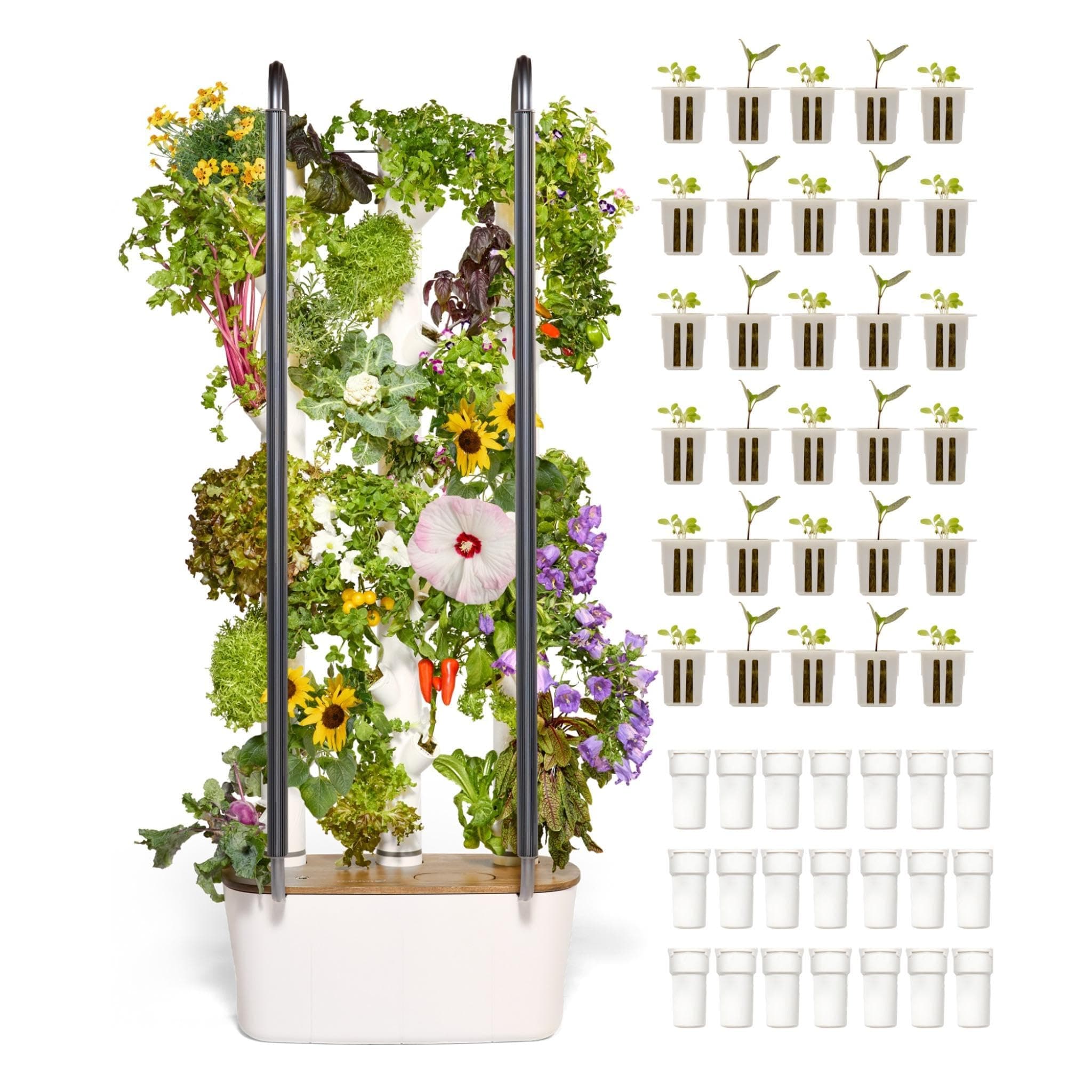 - Gardyn Home 4 Vertical Hydroponics Growing System Kit - 30 Non-GMO Plants, Herbs, Vegetables - Smart Tower Garden Hydroponic Herb Garden Planter Indoor Kit - Indoor Gardening System w/LED Grow Lights