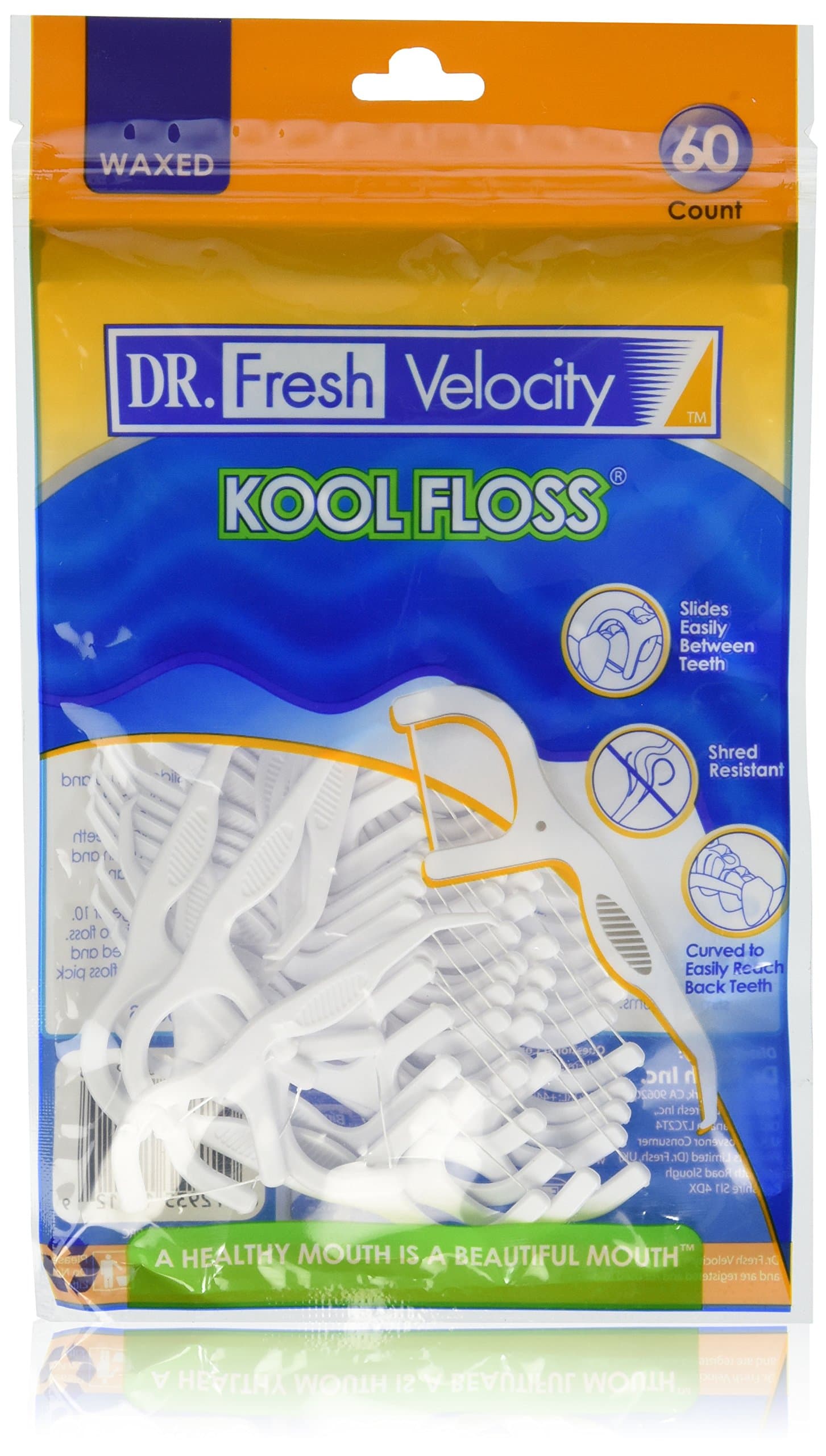 60 Count Dental Floss Pick